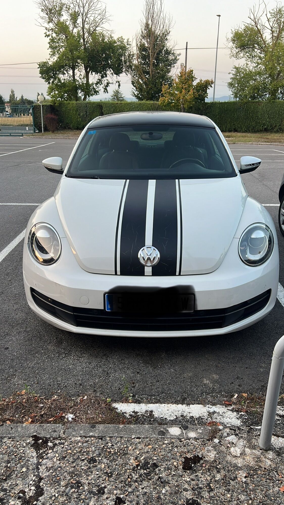 Foto del VOLKSWAGEN Beetle 1.6TDI Beetlemanía 105