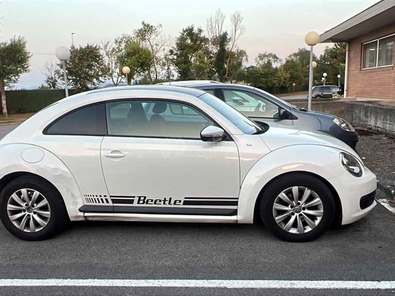 Foto del VOLKSWAGEN Beetle 1.6TDI Beetlemanía 105