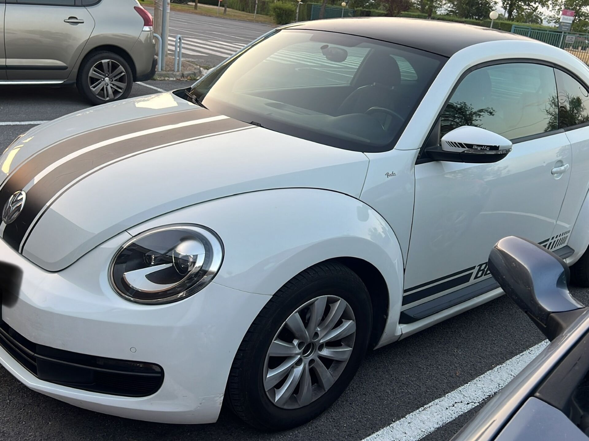 Imagen 3 de VOLKSWAGEN Beetle