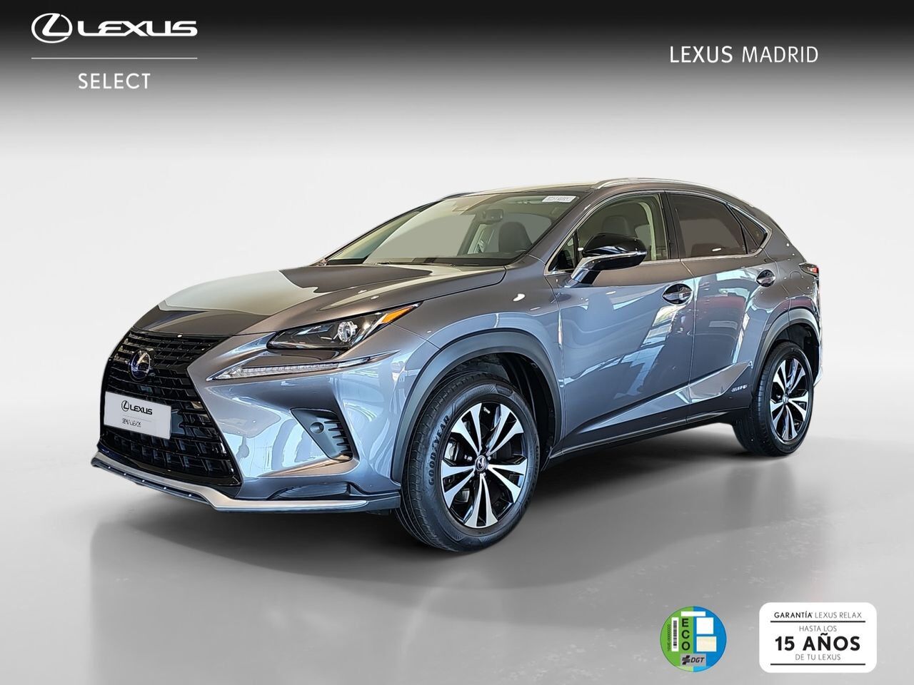 LEXUS NX (2.5 300h Premium 2WD) en Madrid