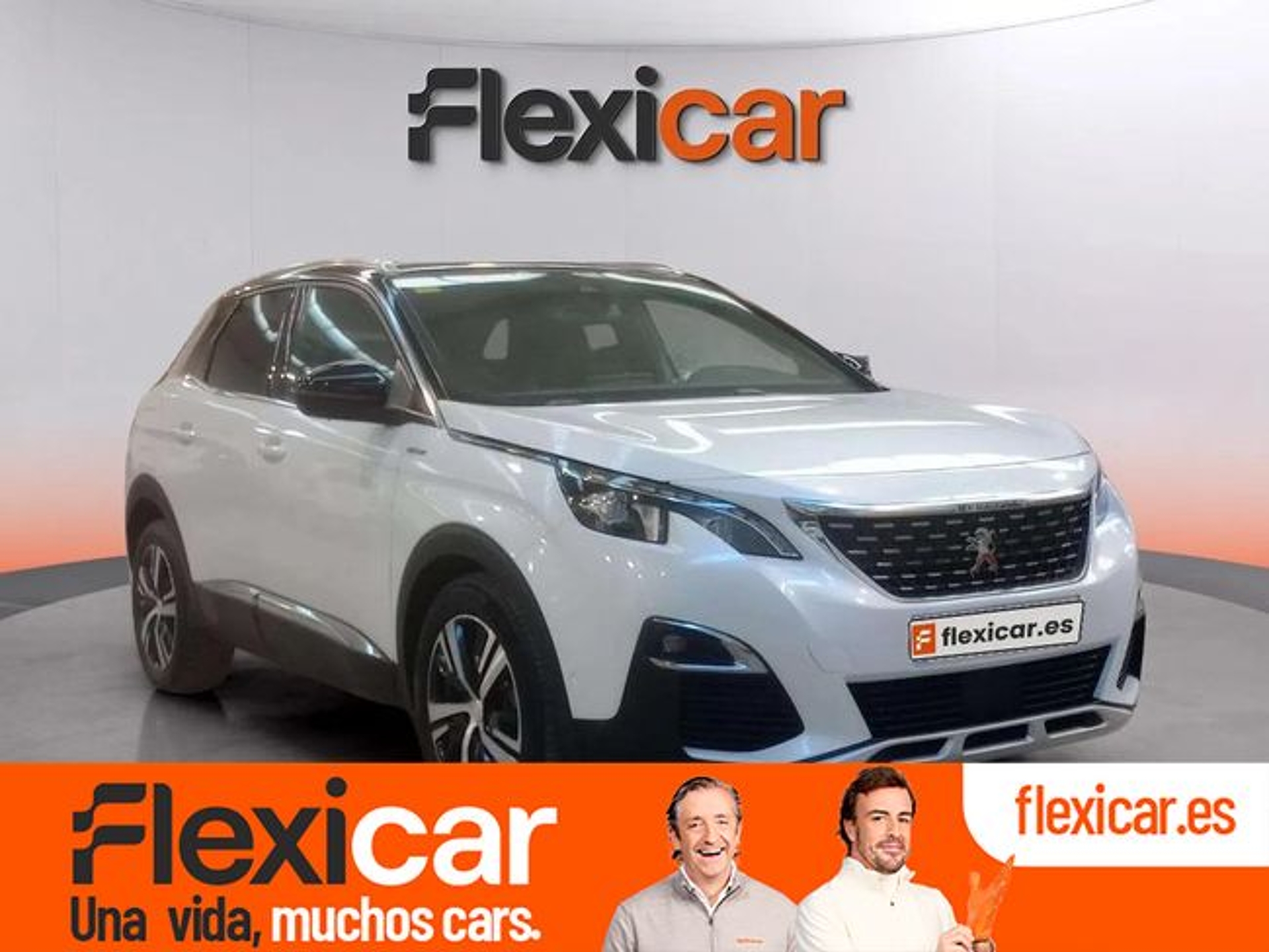 Imagen de PEUGEOT 3008