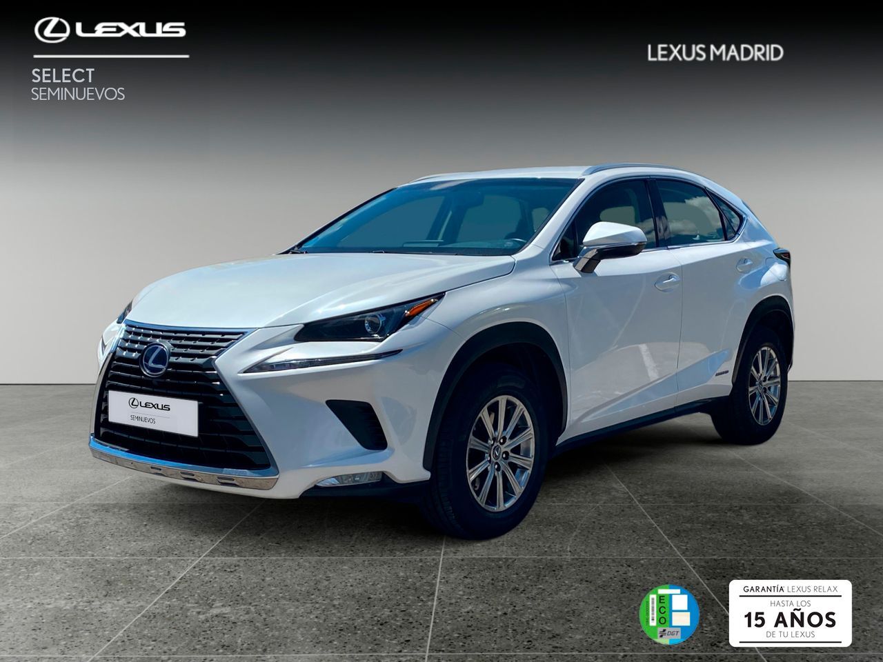 LEXUS NX (2.5 300h Business Navigation 2WD) en Madrid