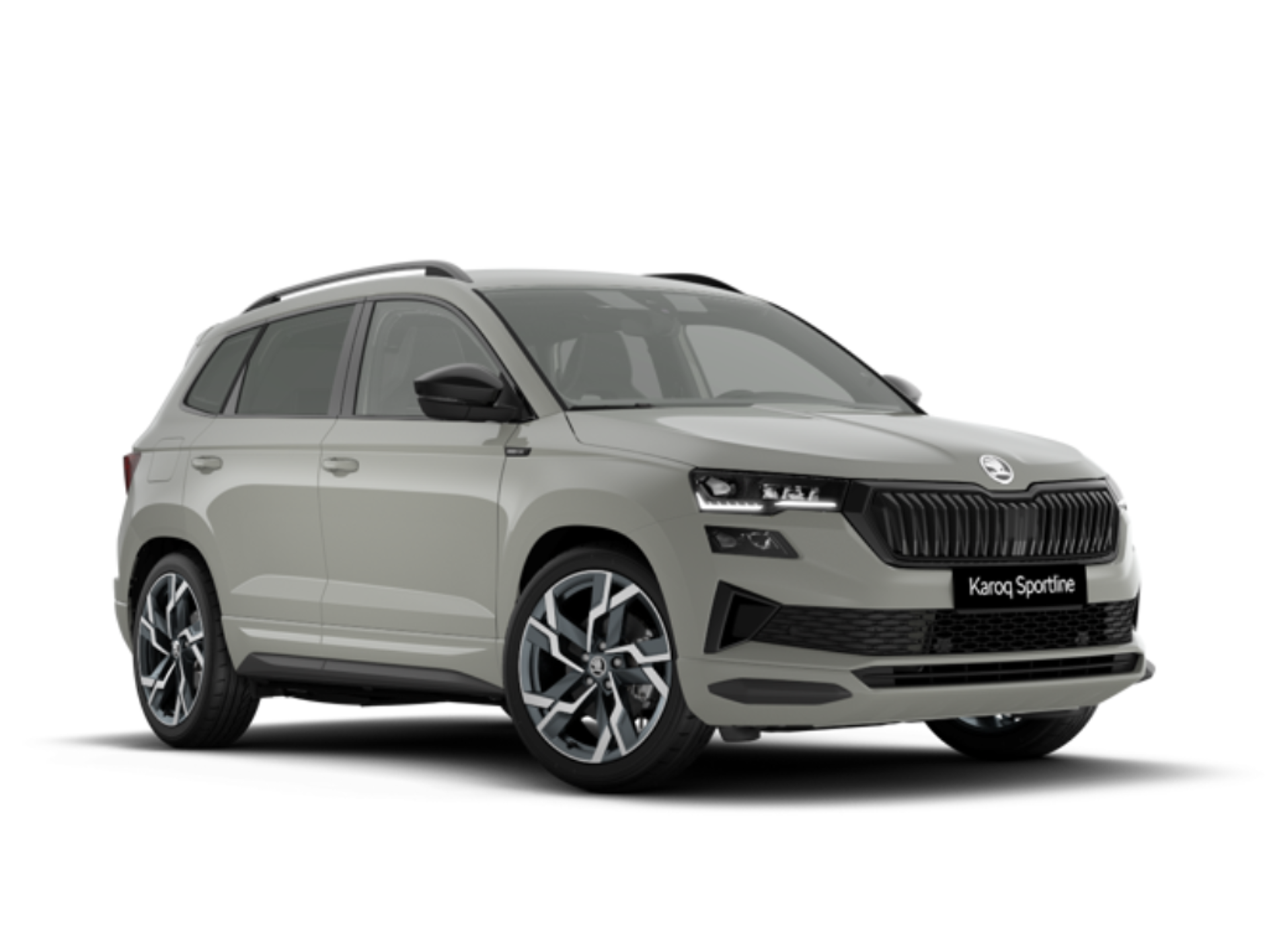 Imagen 1 de SKODA Karoq