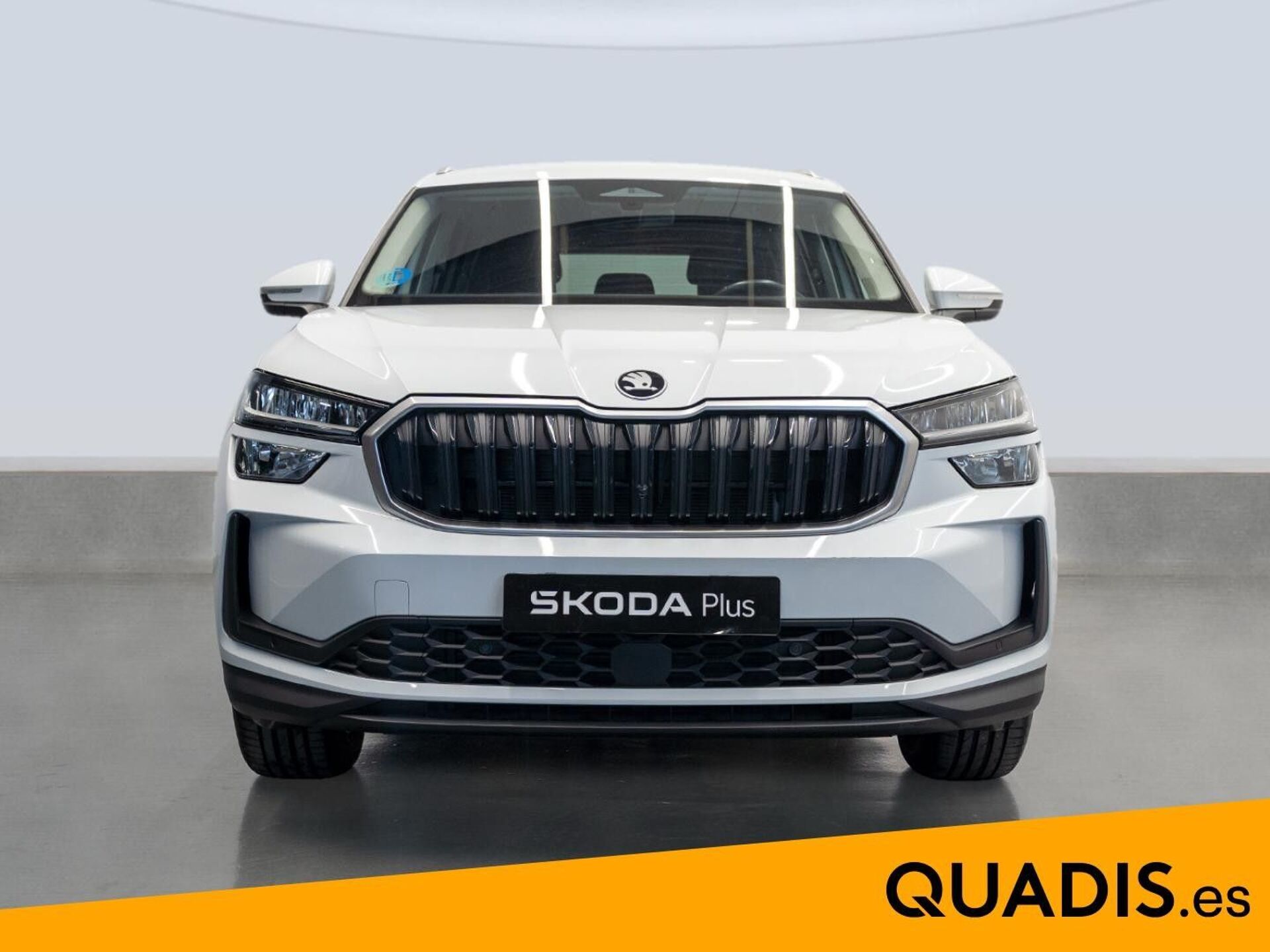Imagen 2 de SKODA Kodiaq