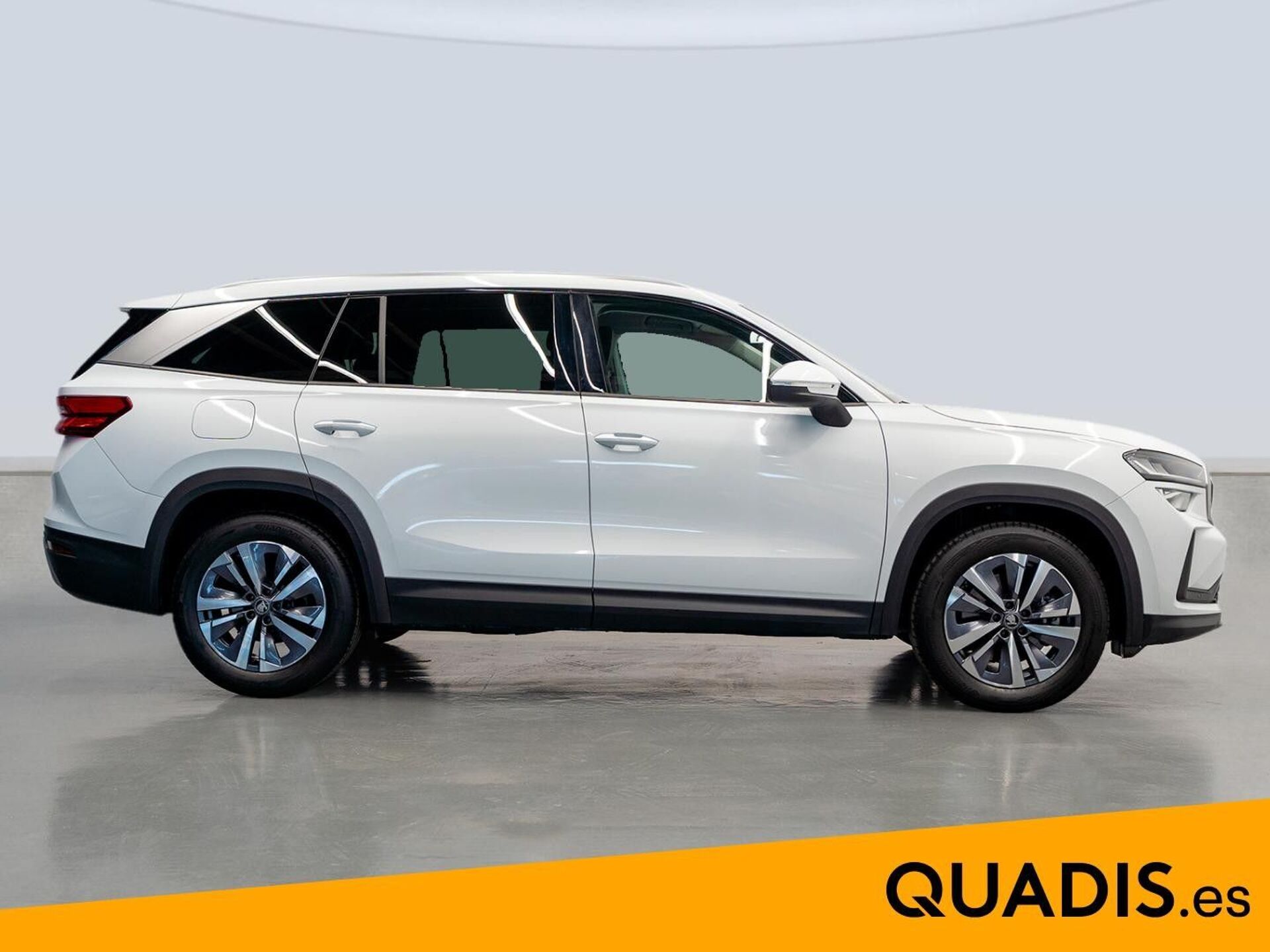 Imagen 3 de SKODA Kodiaq