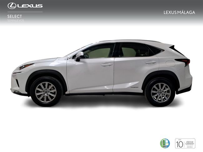 Foto del LEXUS NX 300h Business Navigation 2WD