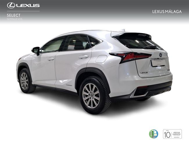 Foto del LEXUS NX 300h Business Navigation 2WD