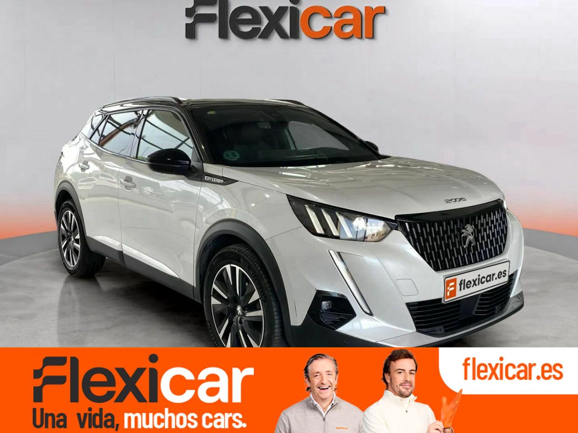 Imagen de PEUGEOT 2008
