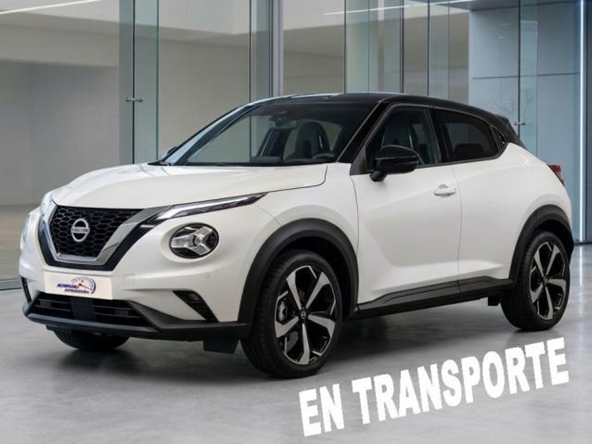 Imagen de NISSAN Juke