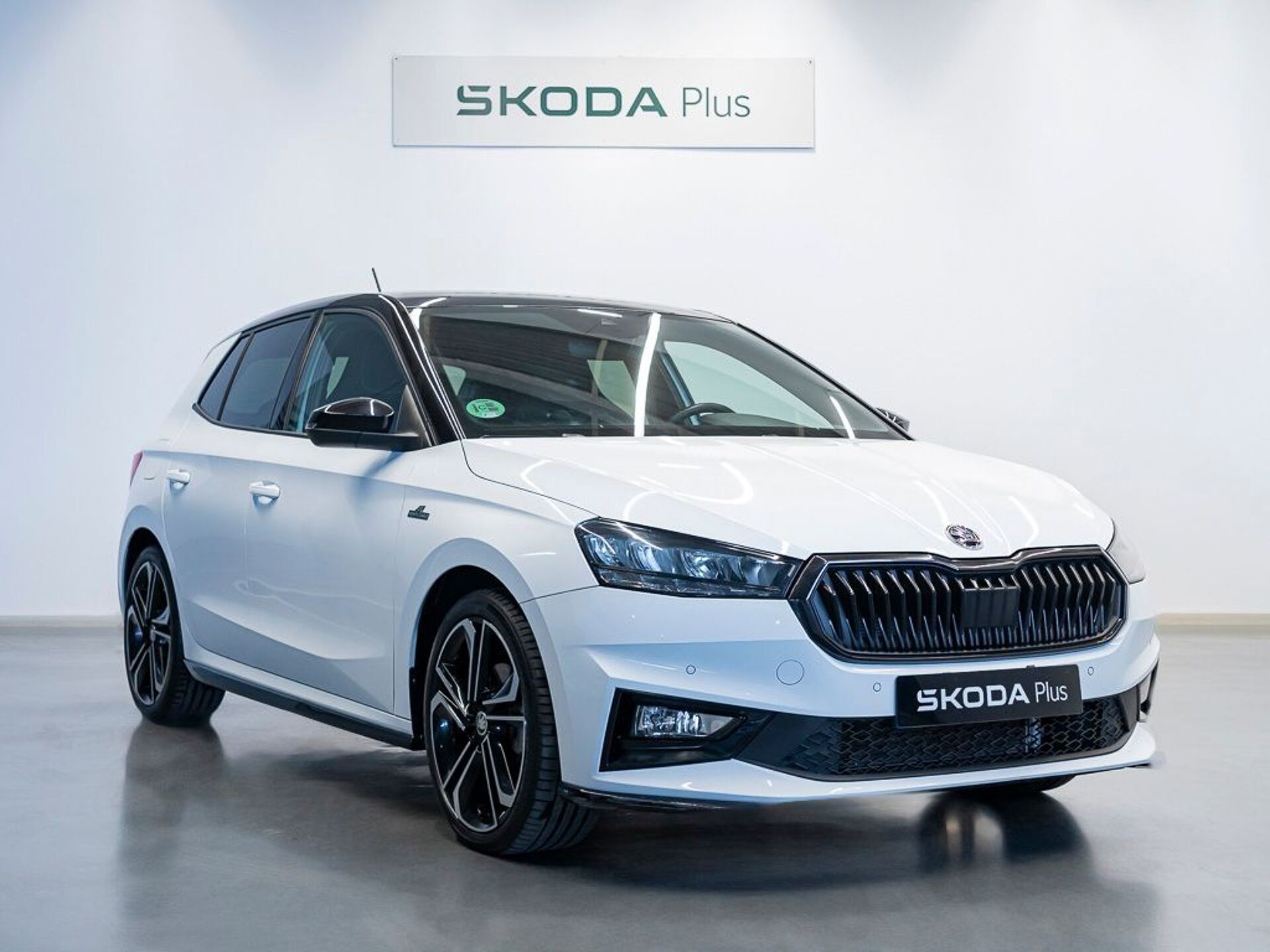Imagen de SKODA Fabia