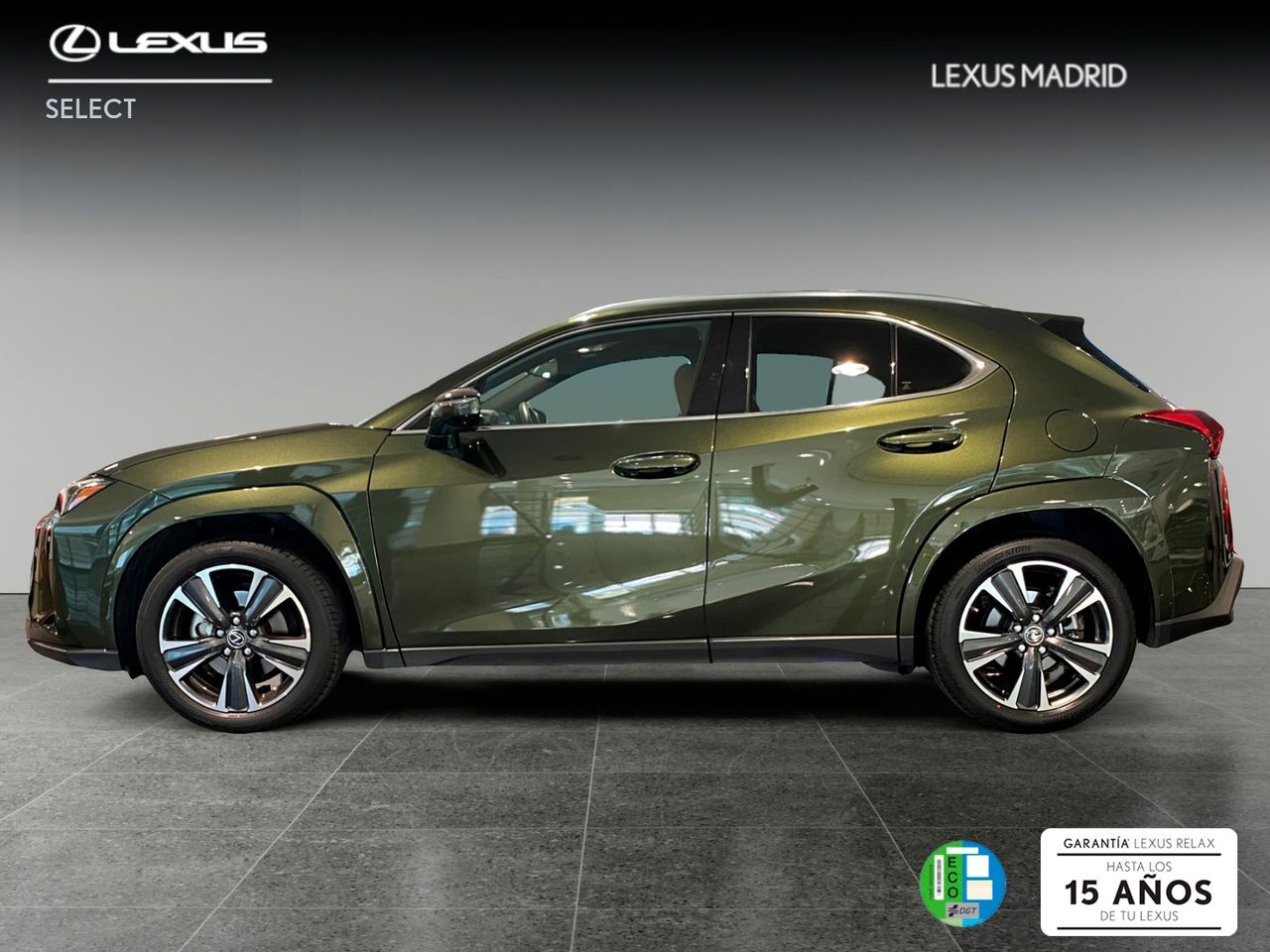 Foto del LEXUS UX 250h Luxury 4WD