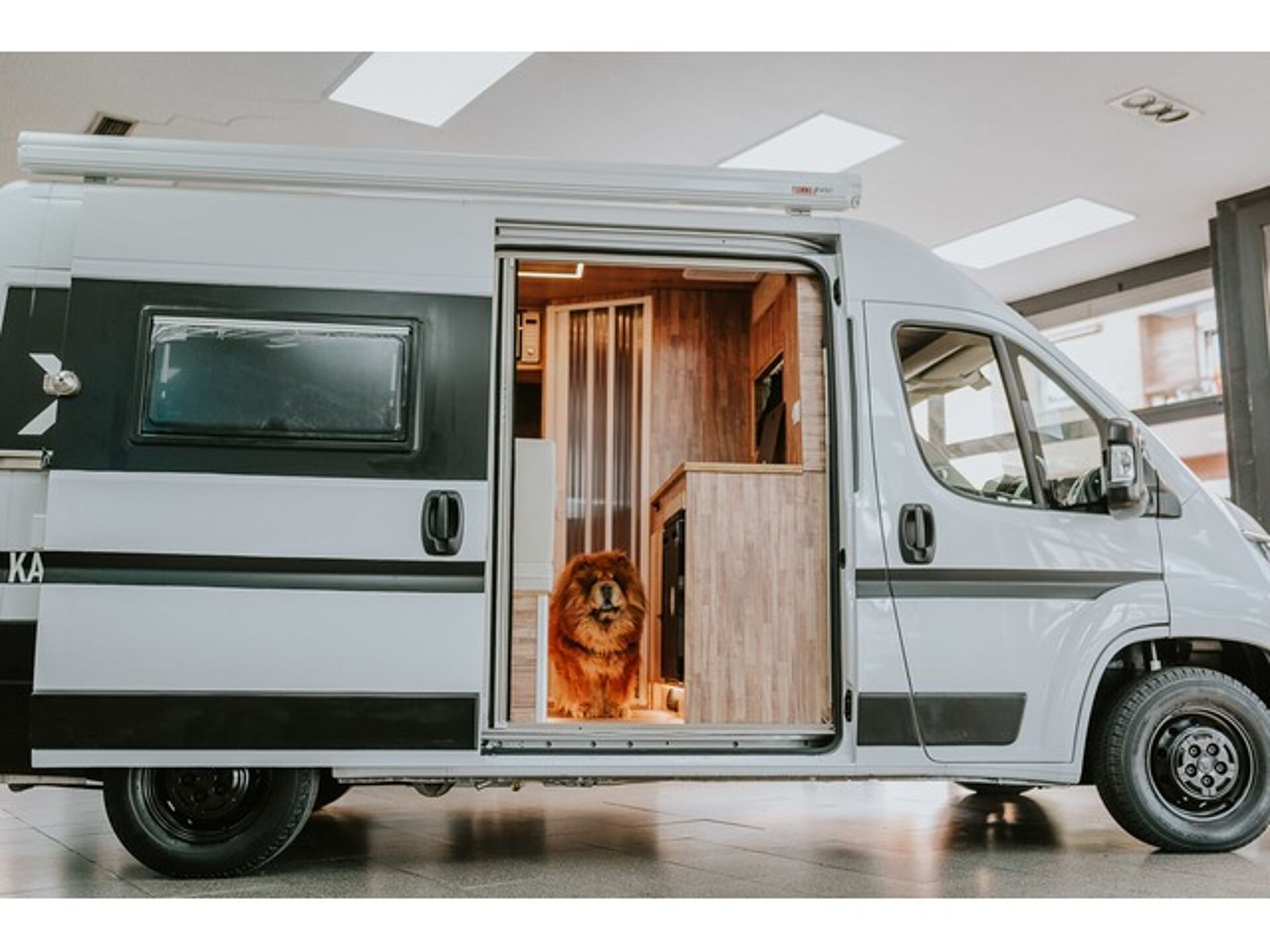 Imagen de FIAT Ducato