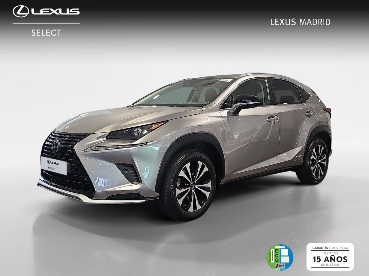 LEXUS NX (2.5 300h Premium 2WD) en Madrid