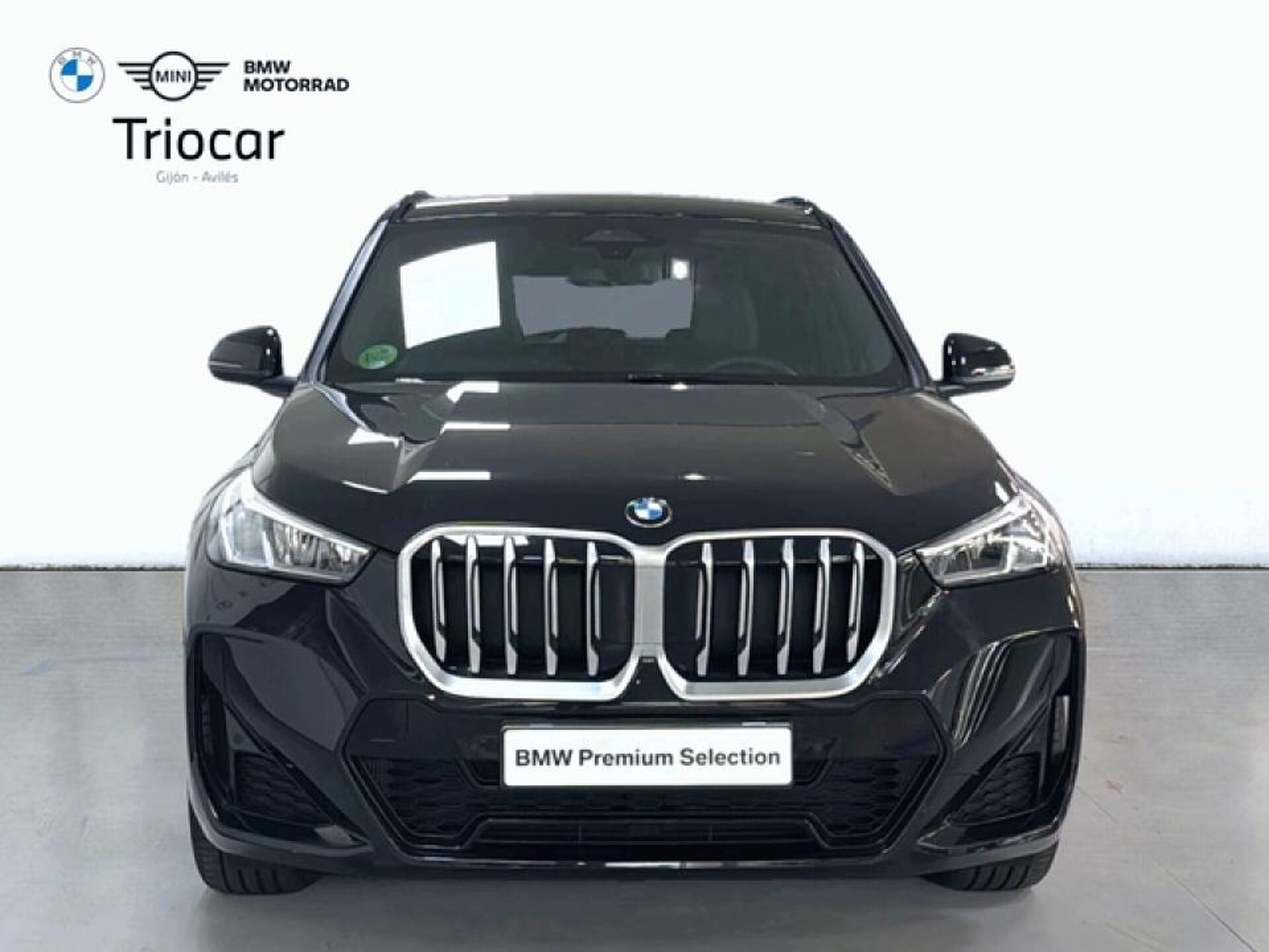 Imagen 2 de BMW X1