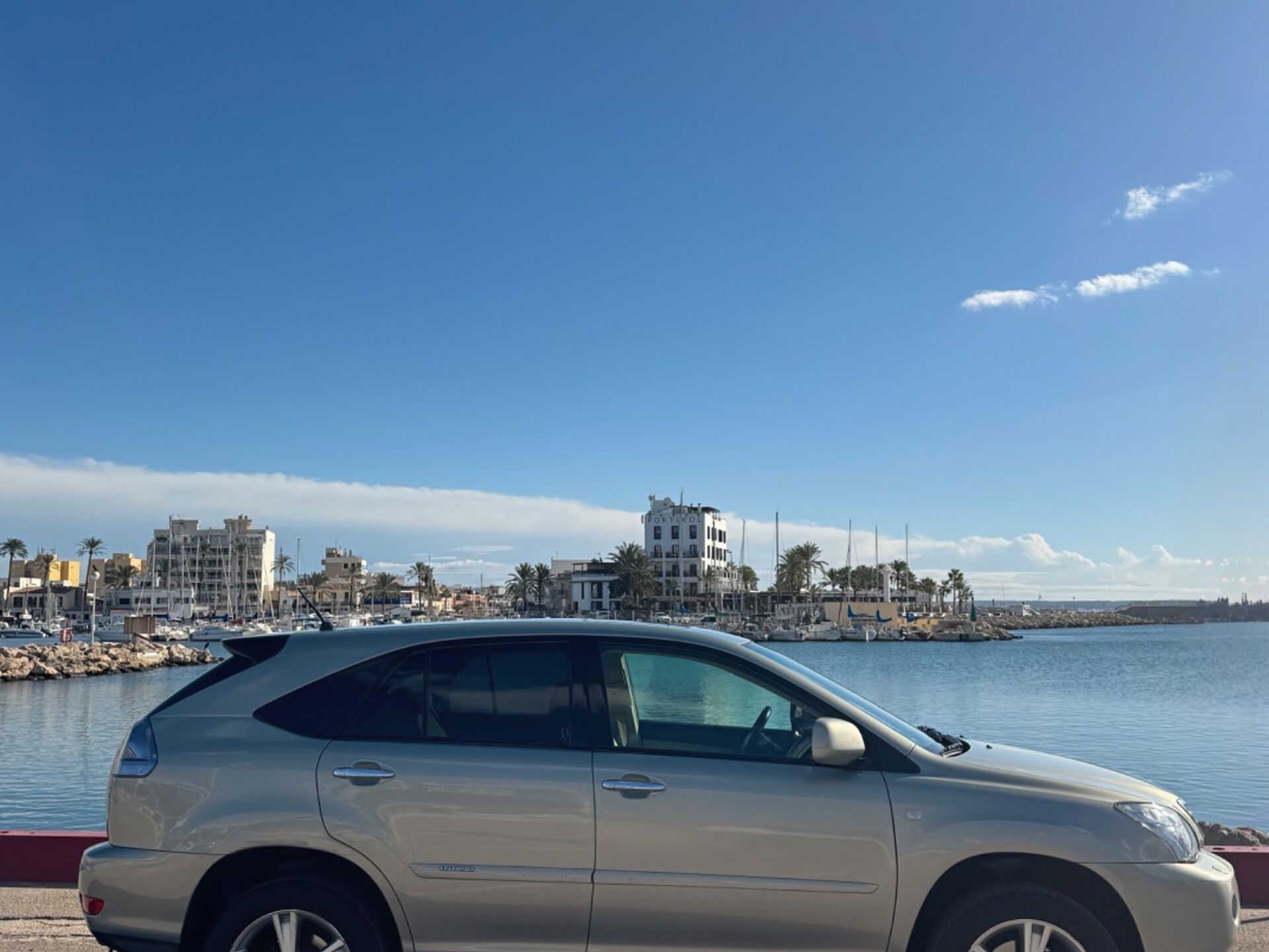 Imagen 2 de LEXUS RX