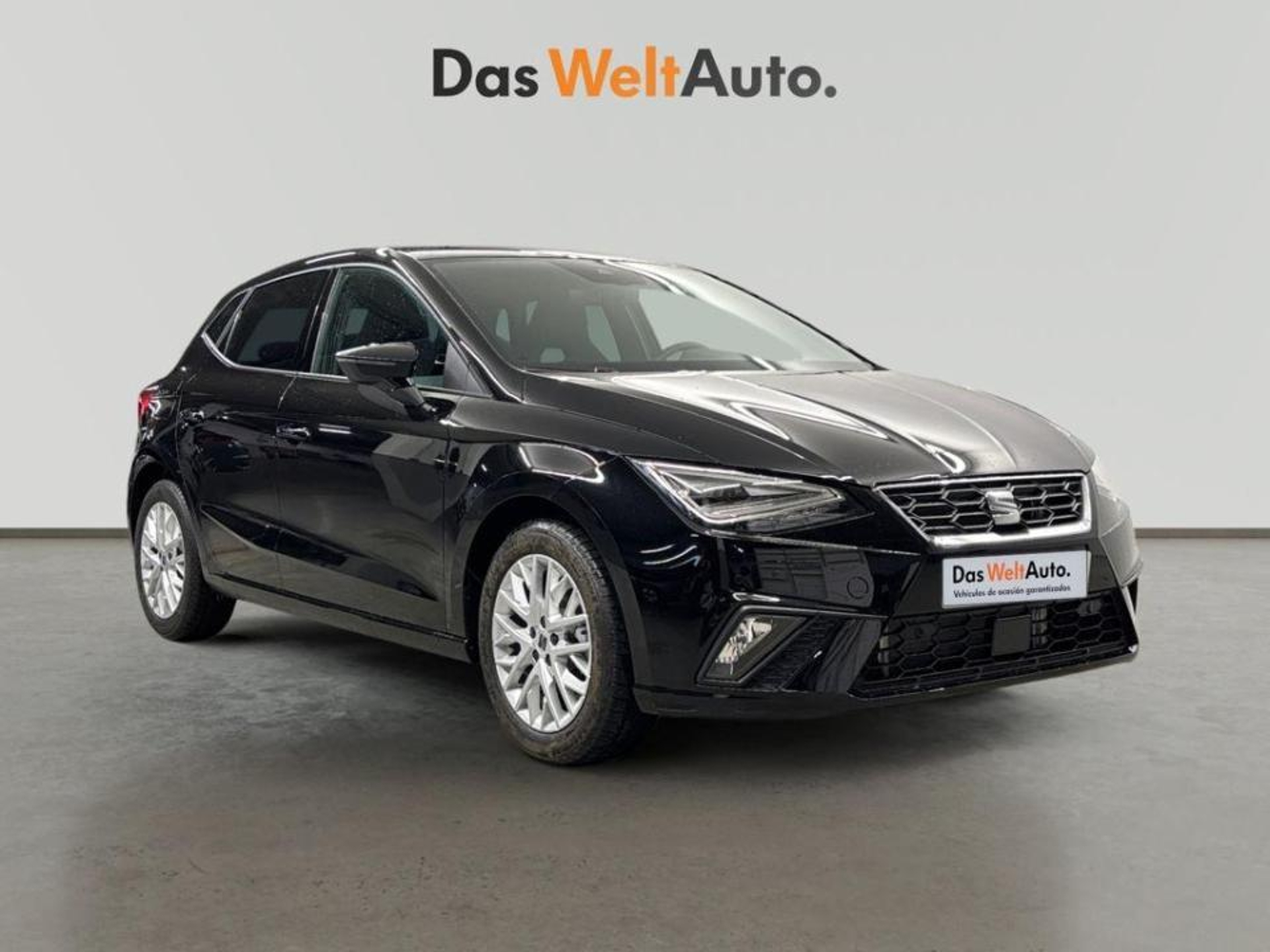 Imagen de SEAT Ibiza