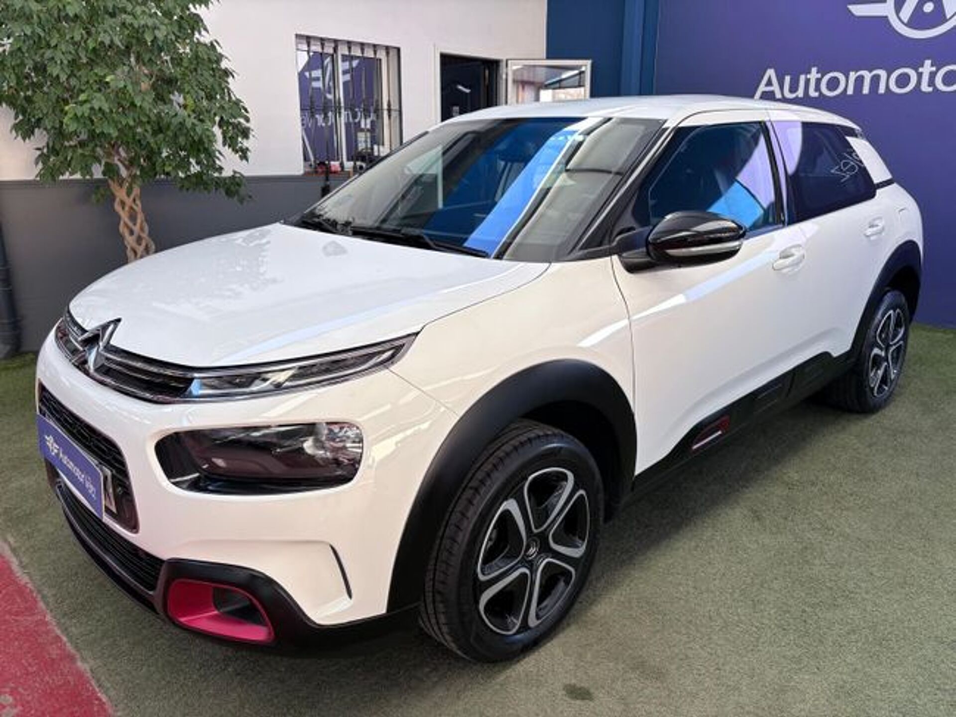 Imagen 3 de CITROEN C4 Cactus