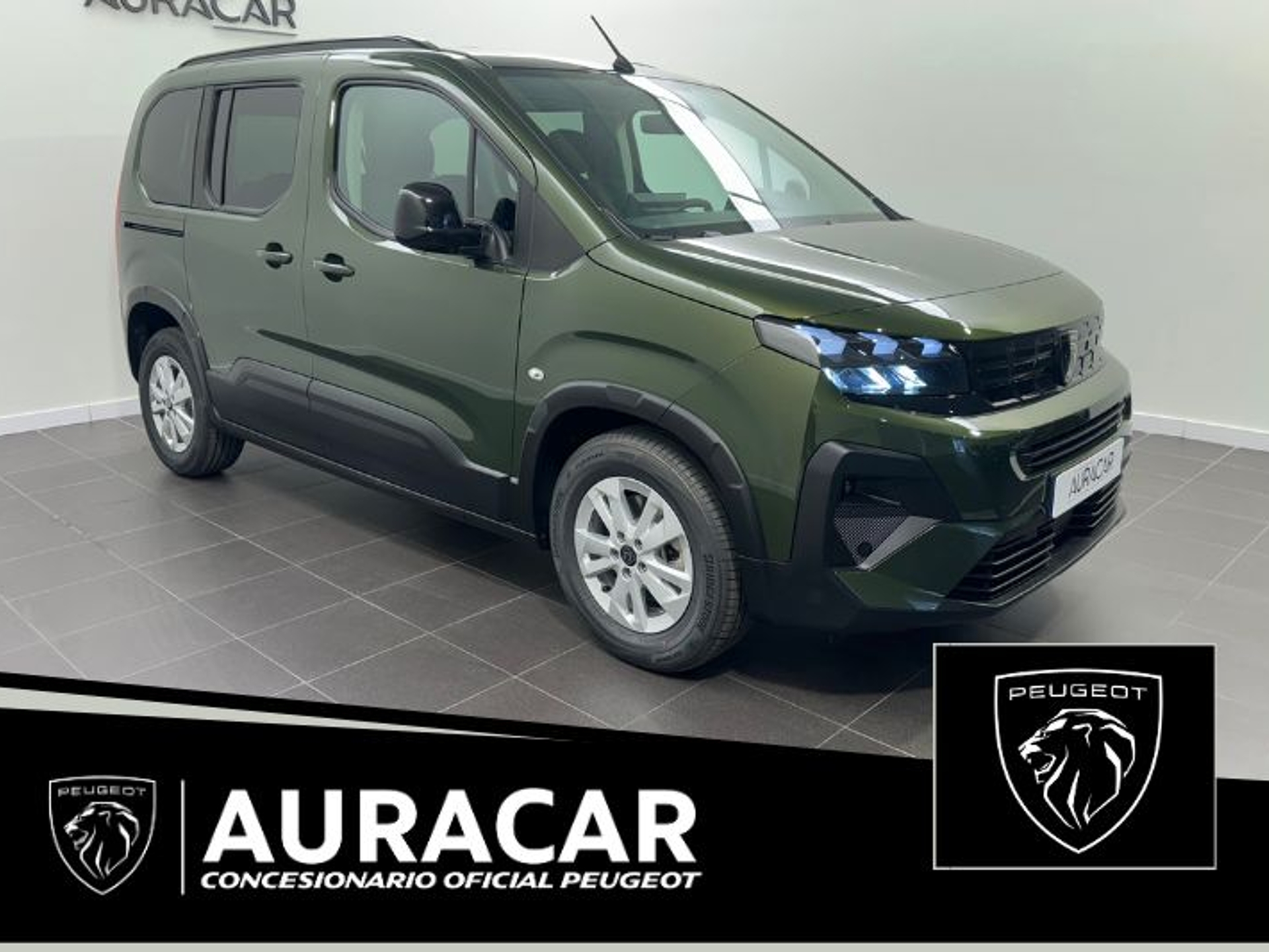 Imagen de PEUGEOT Rifter