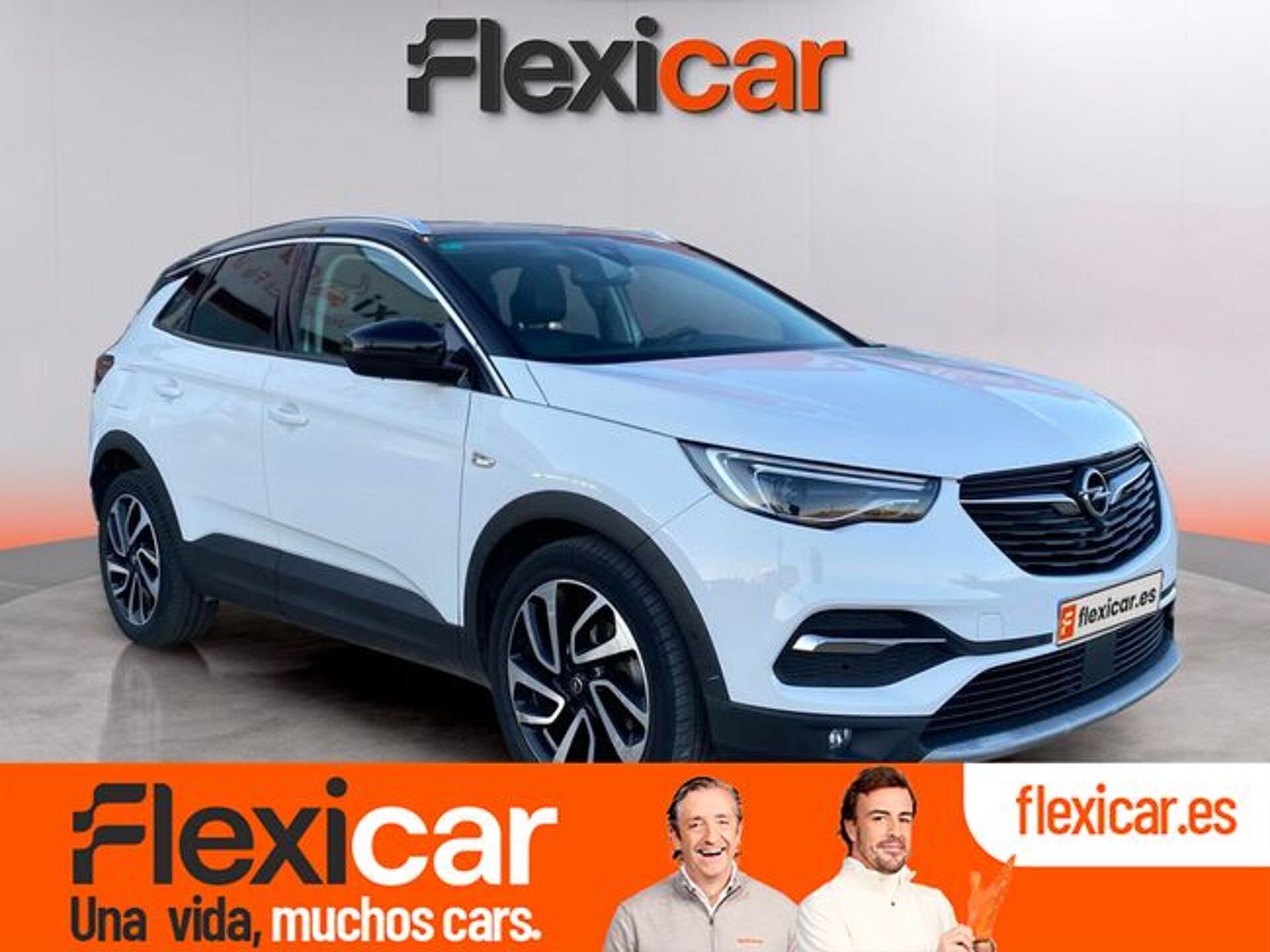 Imagen 1 de OPEL Grandland X