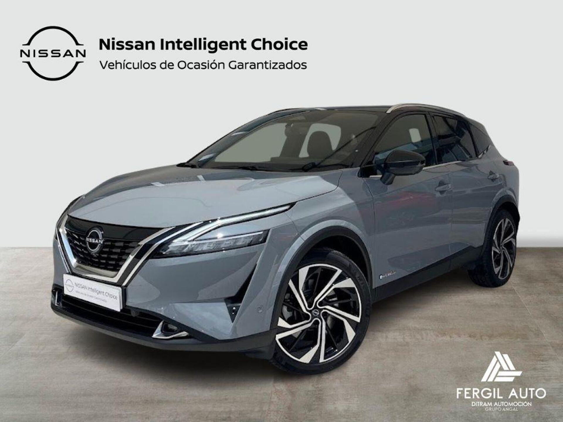 Imagen de NISSAN Qashqai