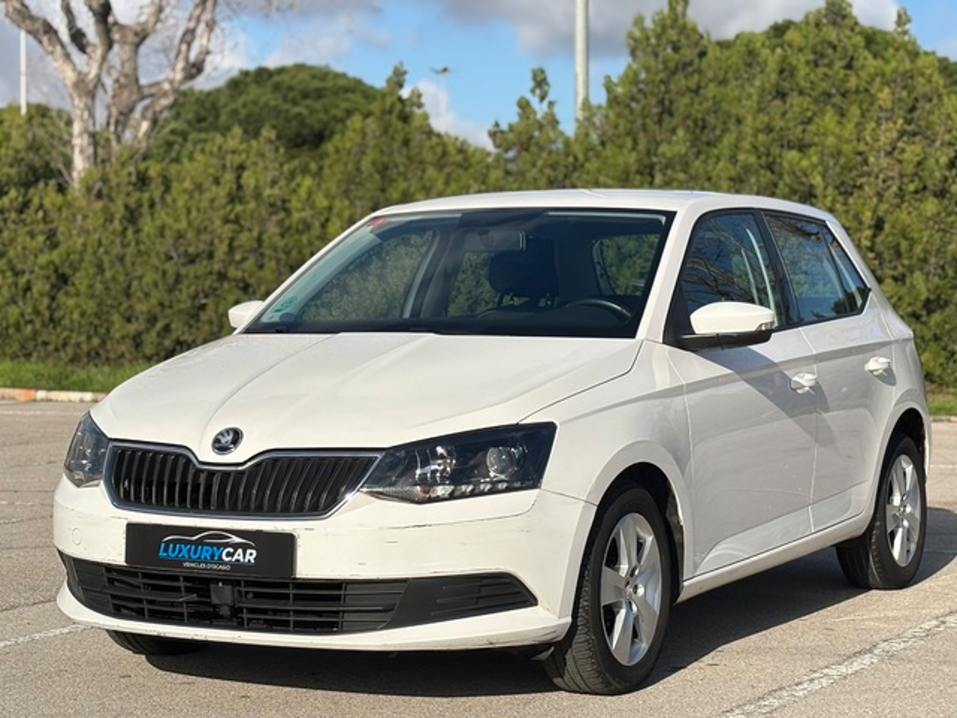 Imagen de SKODA Fabia