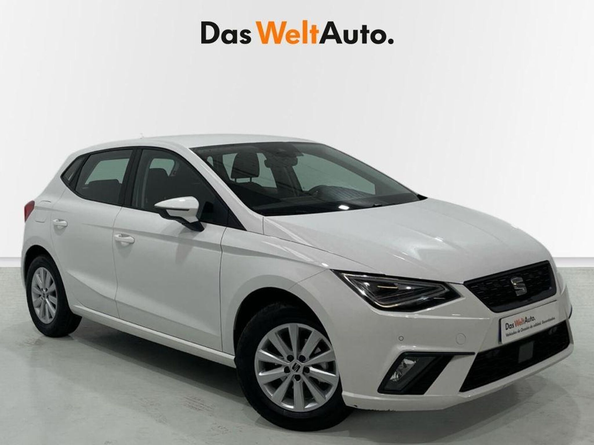 Imagen 1 de SEAT Ibiza