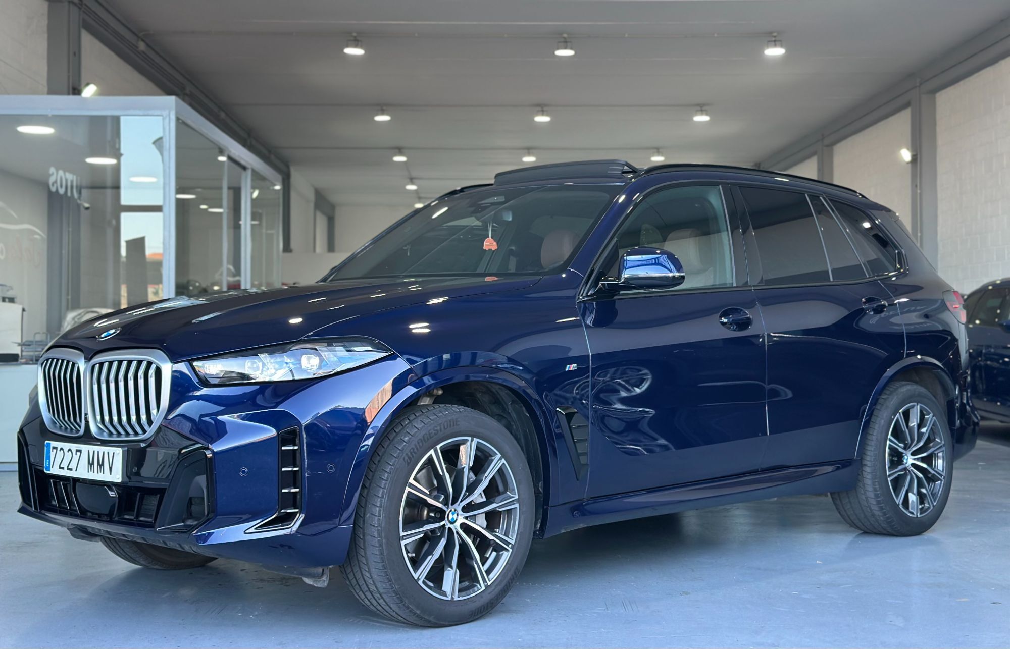 BMW X5 (xDrive 40dA xLine M Sport) en Vizcaya