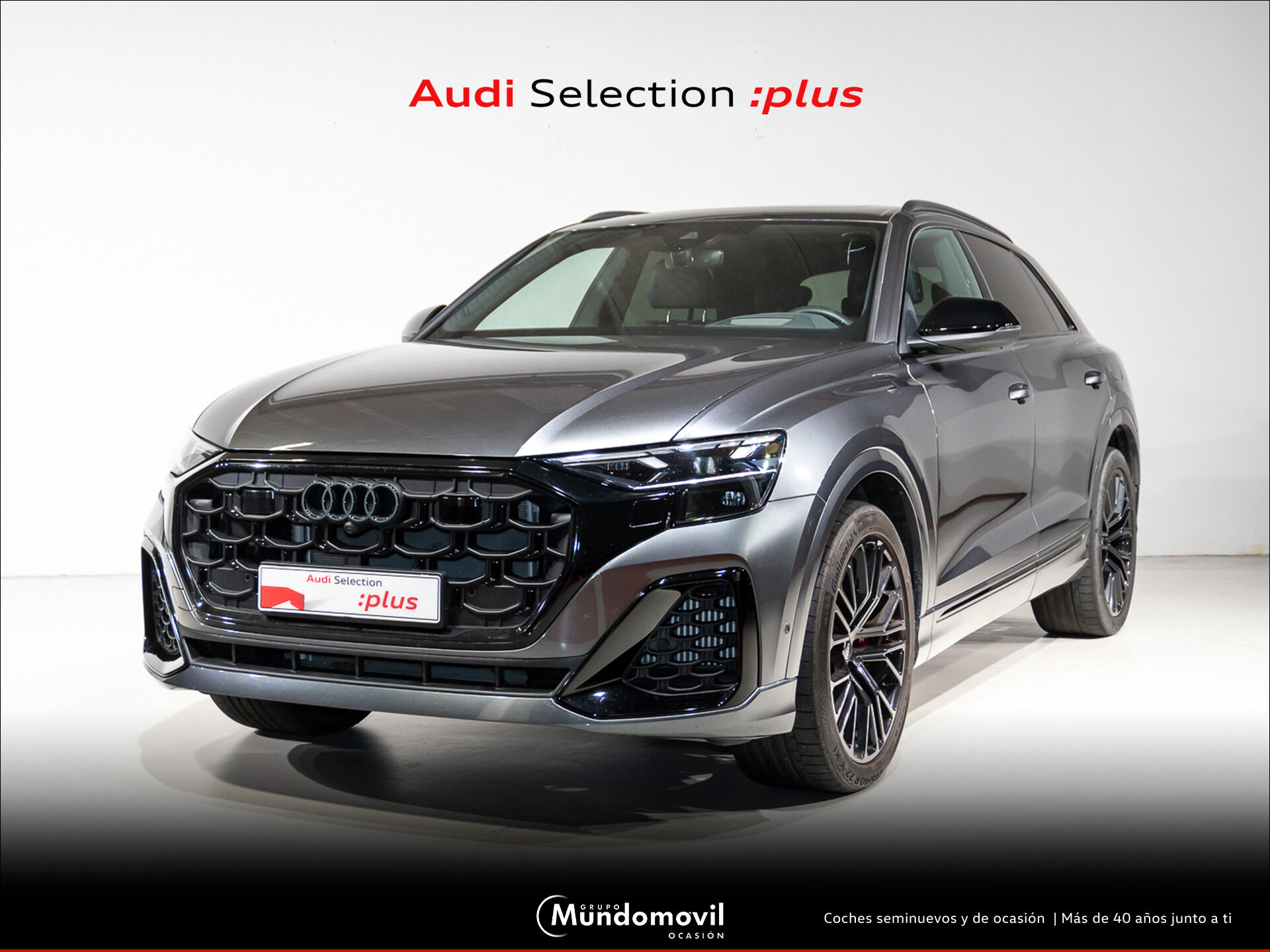 AUDI Q8 (3.0 60 TFSI E BLACK LINE QUATTRO TIPTR 5P) en Navarra