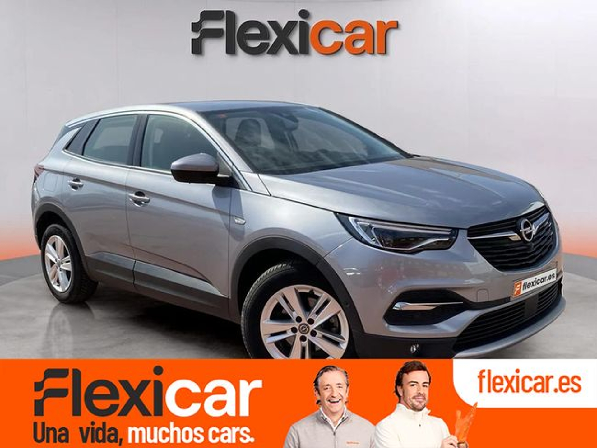 Imagen de OPEL Grandland X