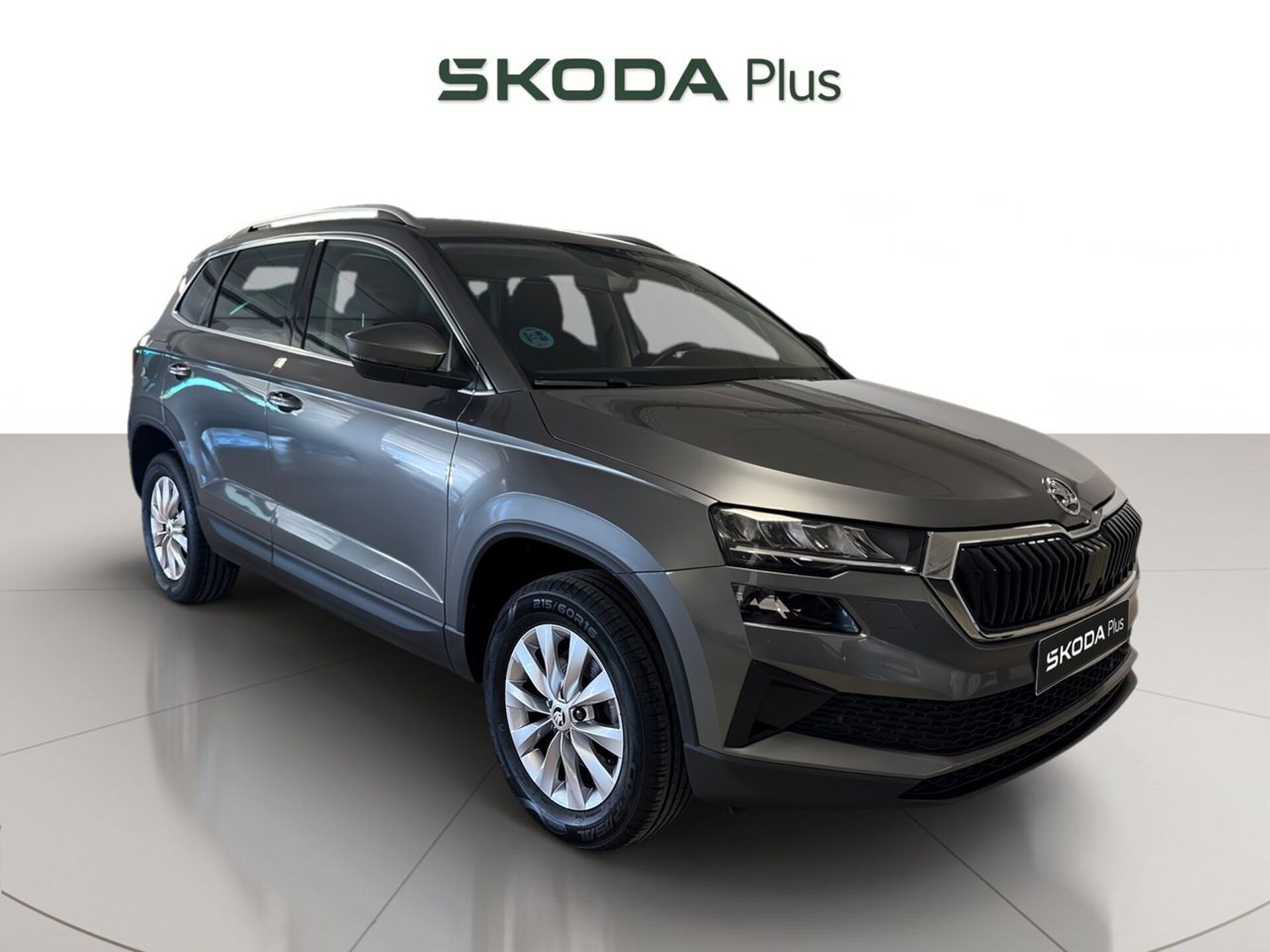 Imagen 1 de SKODA Karoq