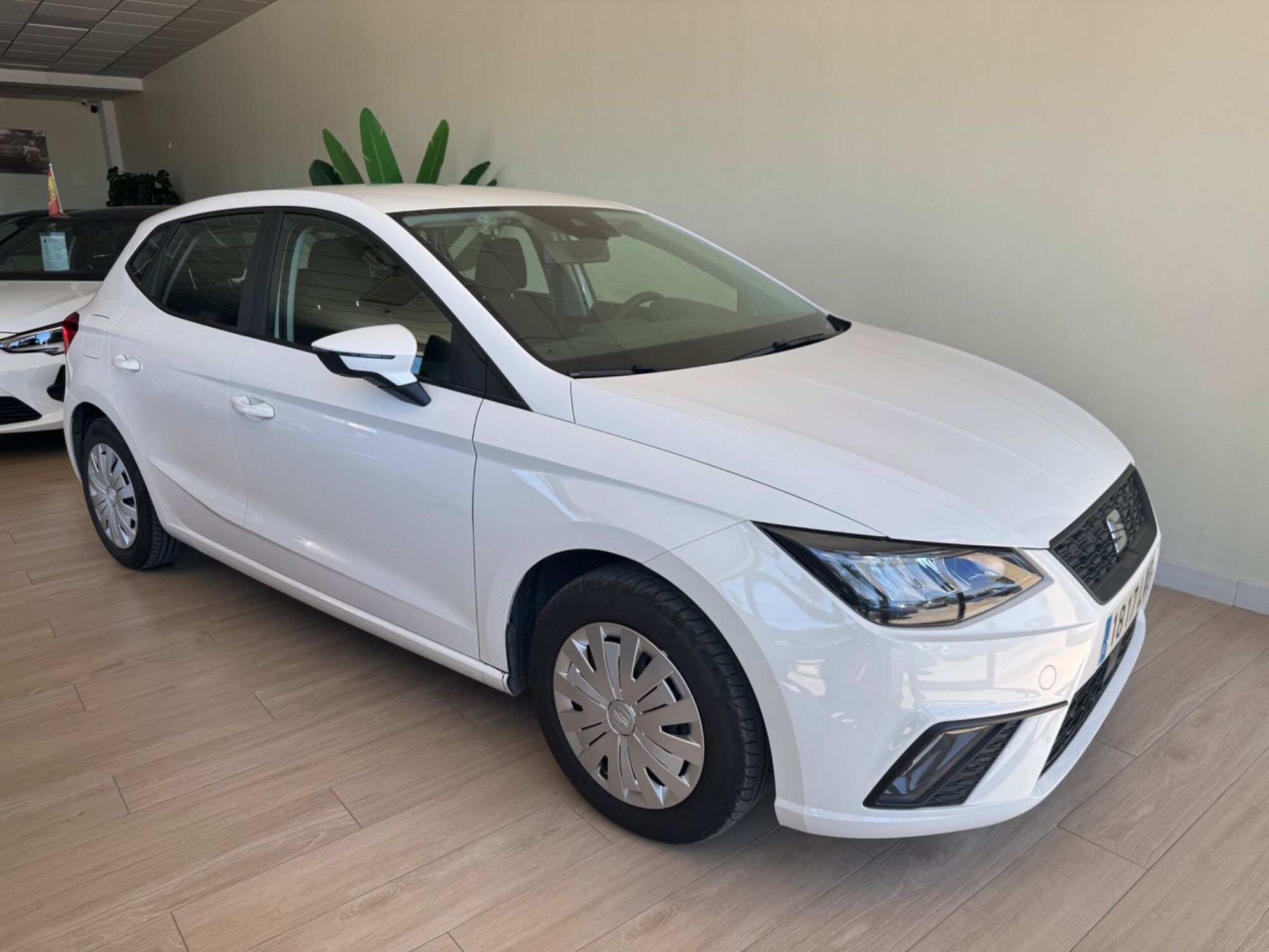 SEAT Ibiza (1.0 MPI Evo S&S Reference XM 80) en Cádiz