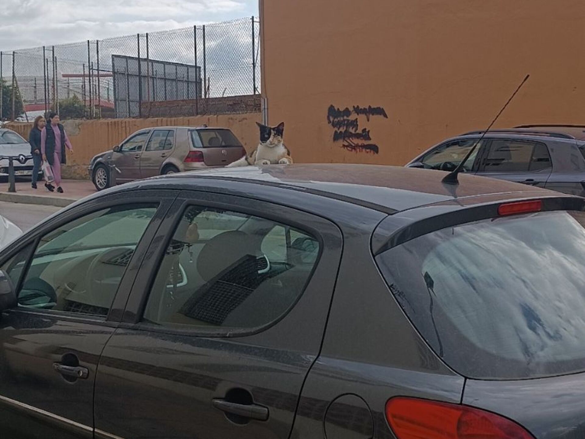 Imagen 1 de PEUGEOT 207