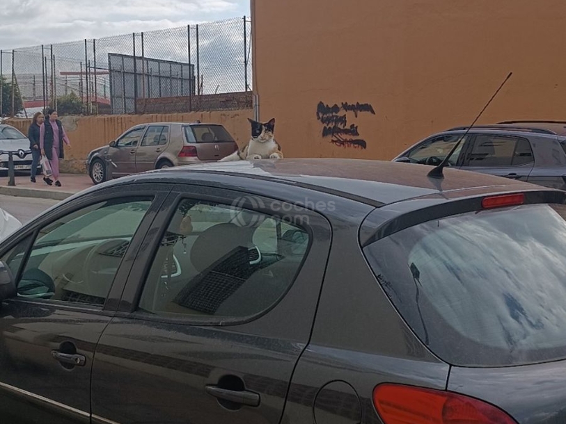 Foto del PEUGEOT 207 1.4i Access