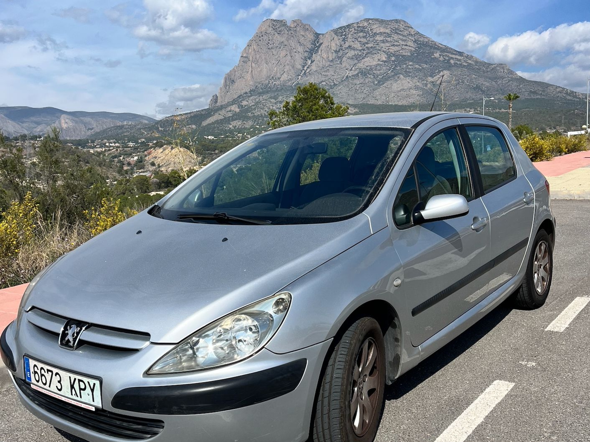 Imagen de PEUGEOT 307