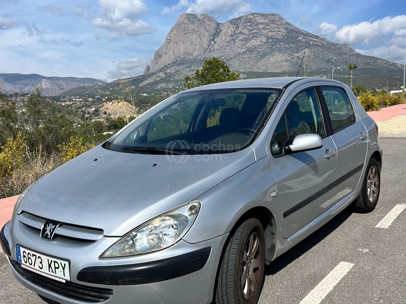Foto del PEUGEOT 307 1.6i XR