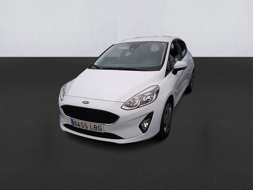 Foto del FORD Fiesta 1.0 EcoBoost S-S Trend 100