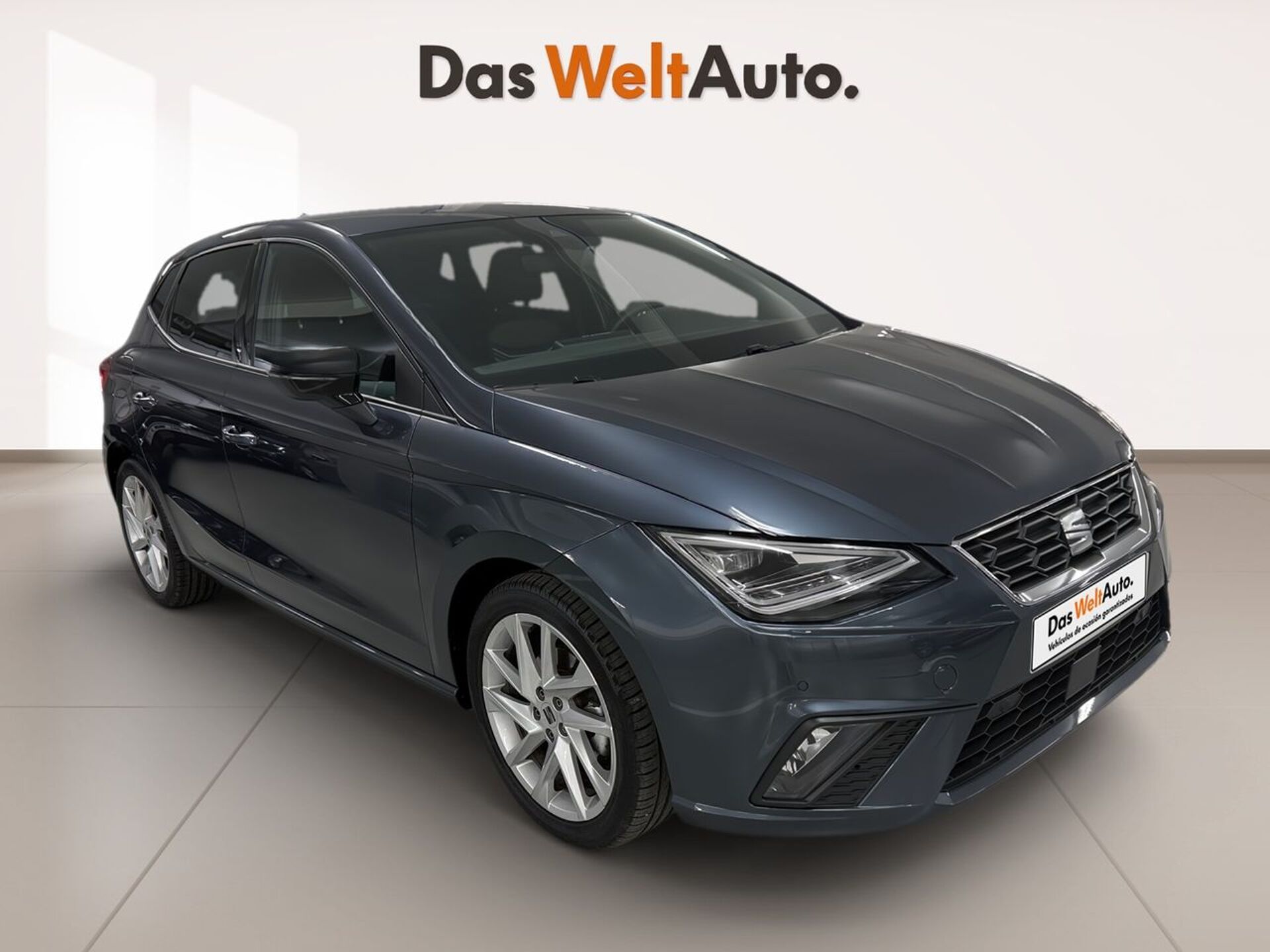 Imagen de SEAT Ibiza