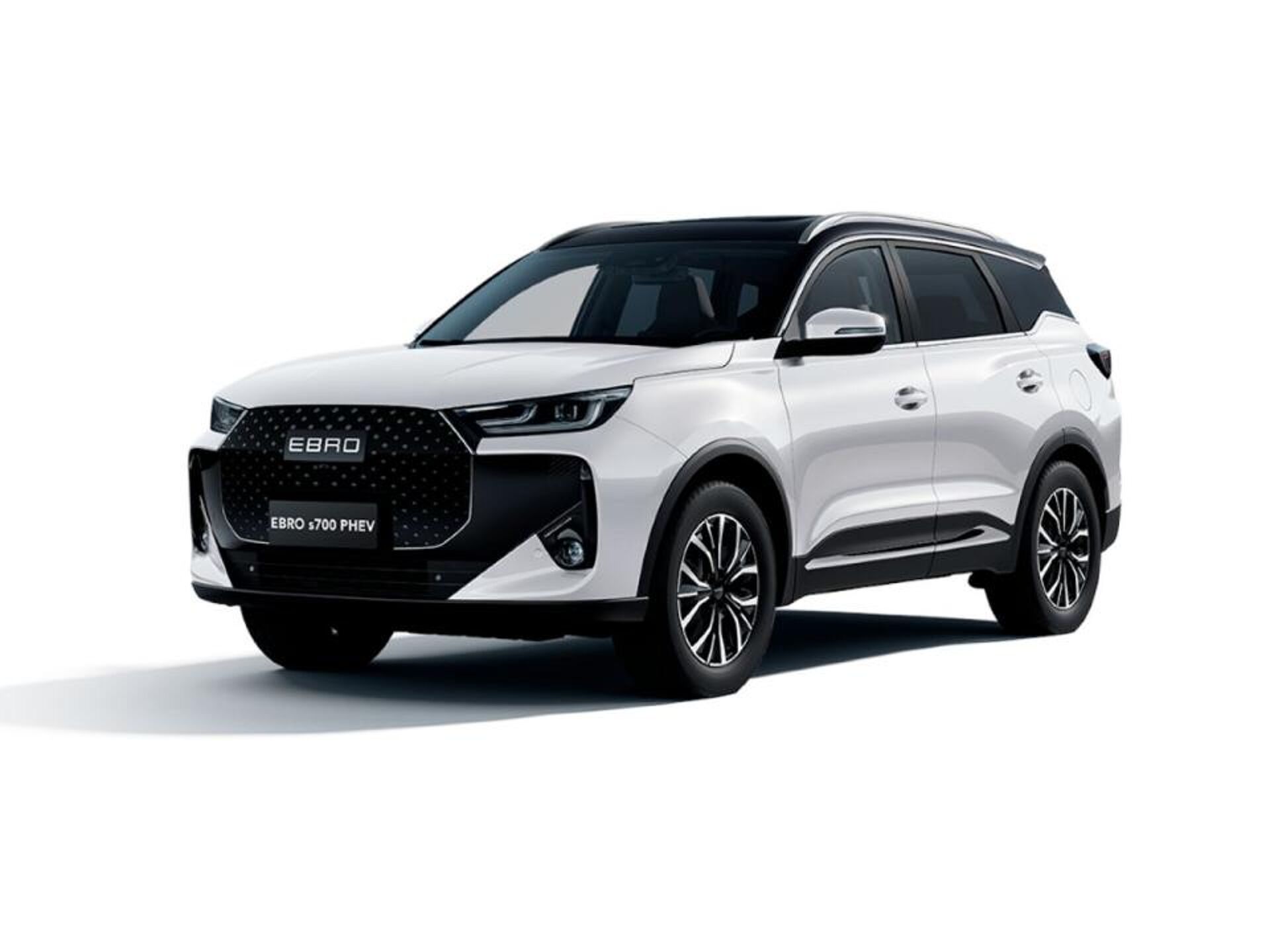 Imagen 1 de EBRO s700