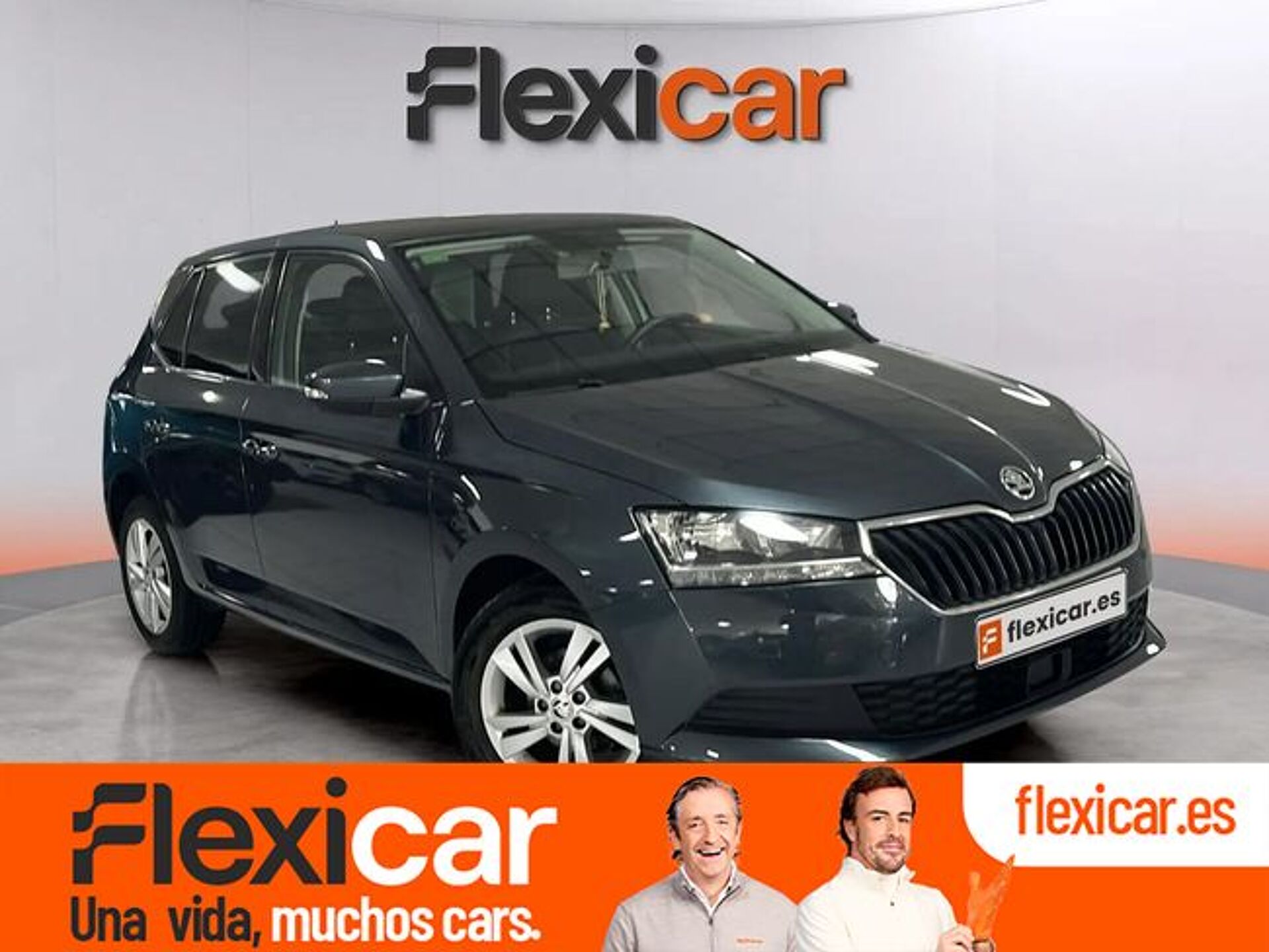 Imagen 1 de SKODA Fabia