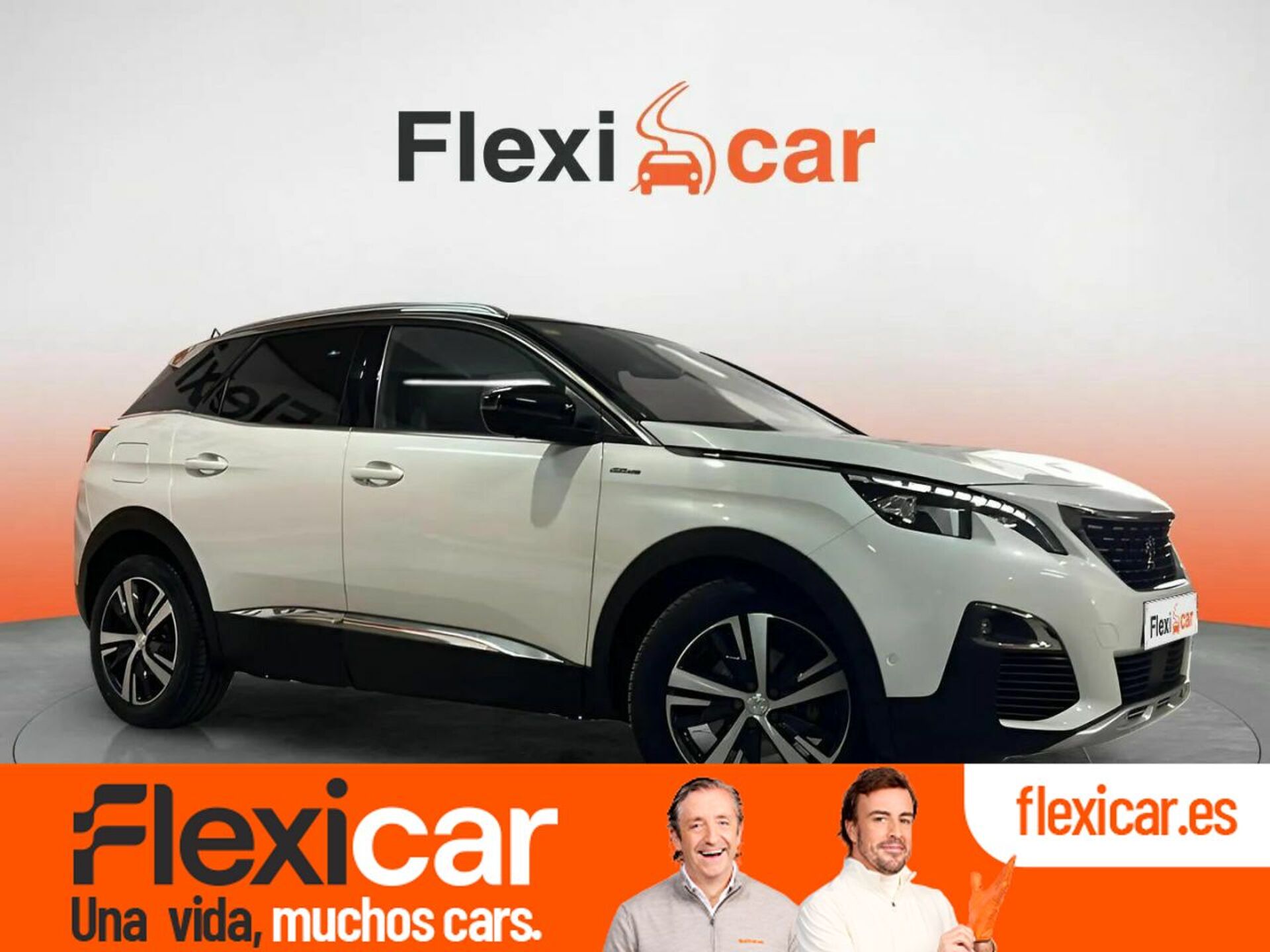 Imagen de PEUGEOT 3008