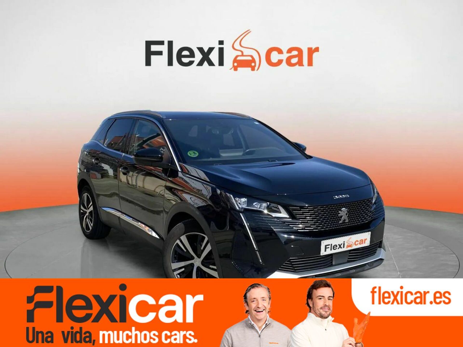Imagen de PEUGEOT 3008
