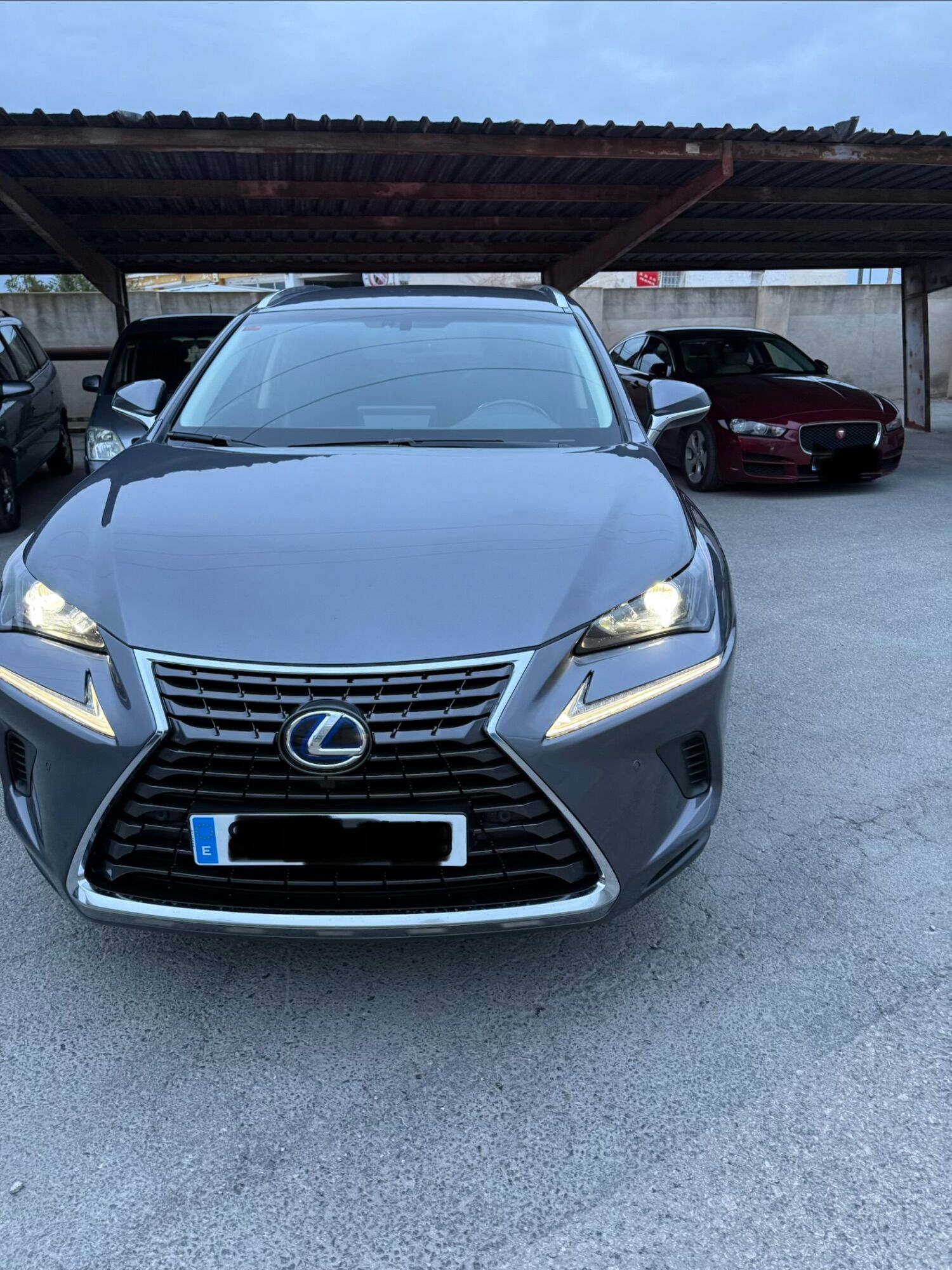 Foto del LEXUS NX 300h Business 2WD