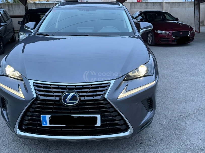 Foto del LEXUS NX 300h Business 2WD