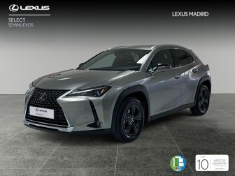 Imagen de LEXUS UX 250h Business 4WD