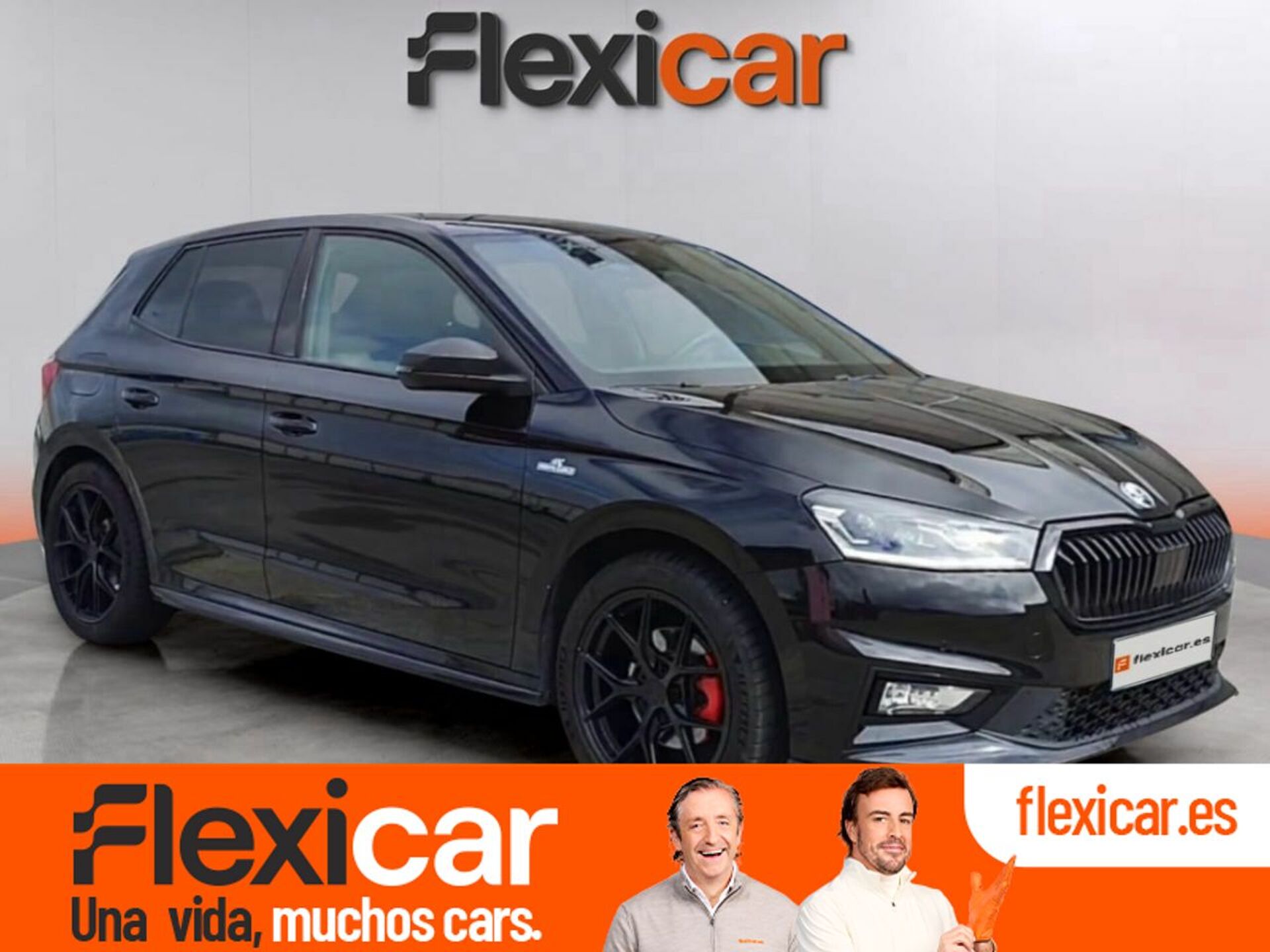 Imagen de SKODA Fabia