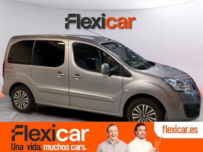 PEUGEOT Partner (TEPEE Access BlueHDi 1.6 HDi 100) en Vizcaya