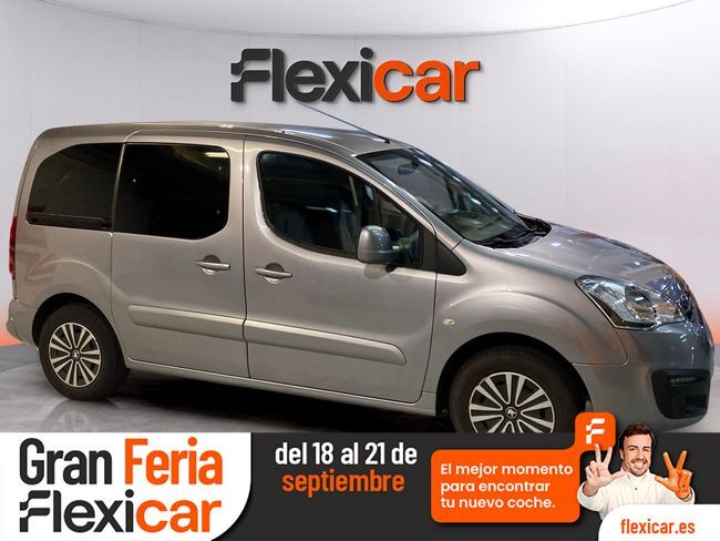 PEUGEOT Partner (TEPEE Access BlueHDi 1.6 HDi 100) en Vizcaya