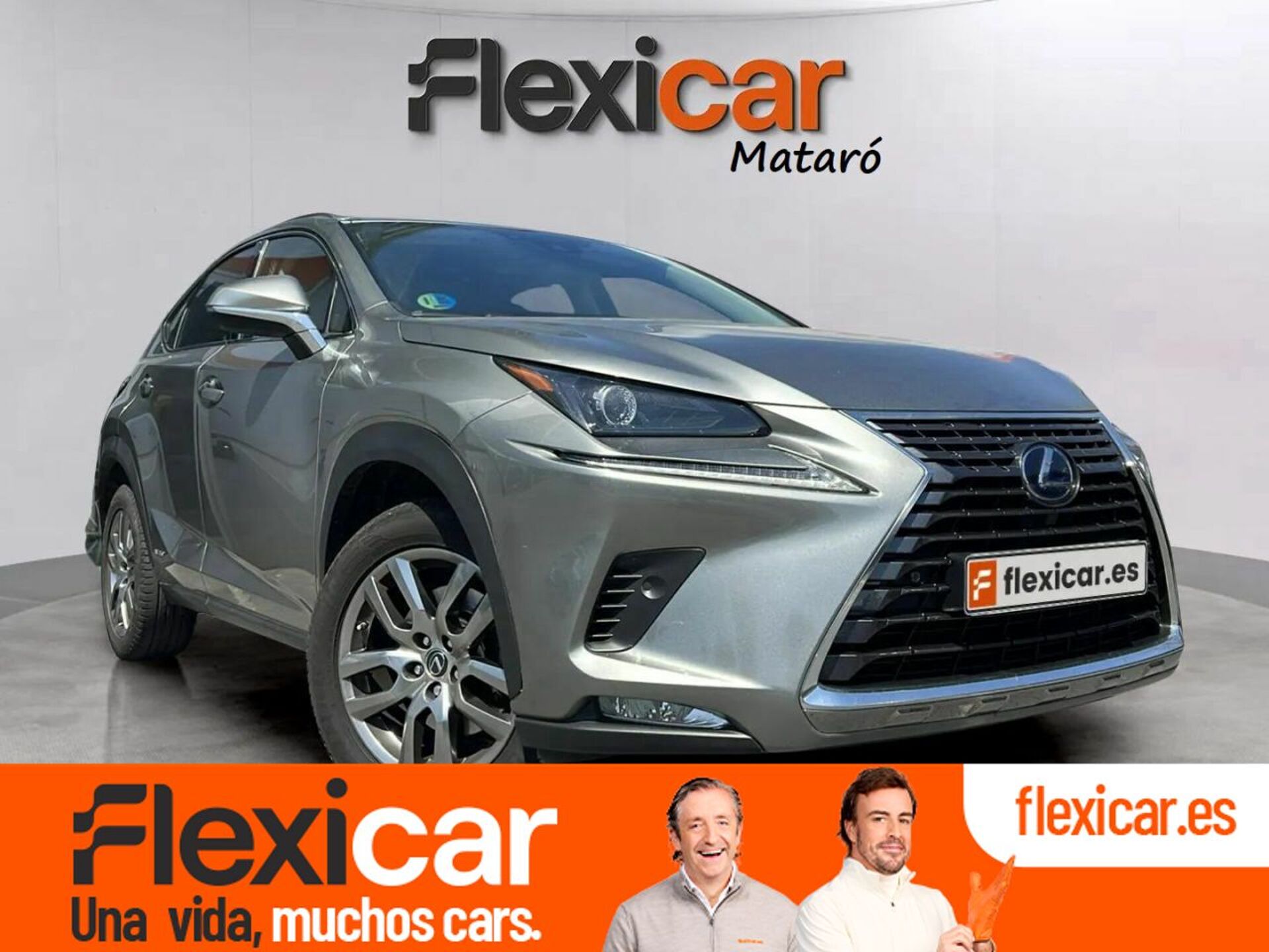 Imagen de LEXUS NX