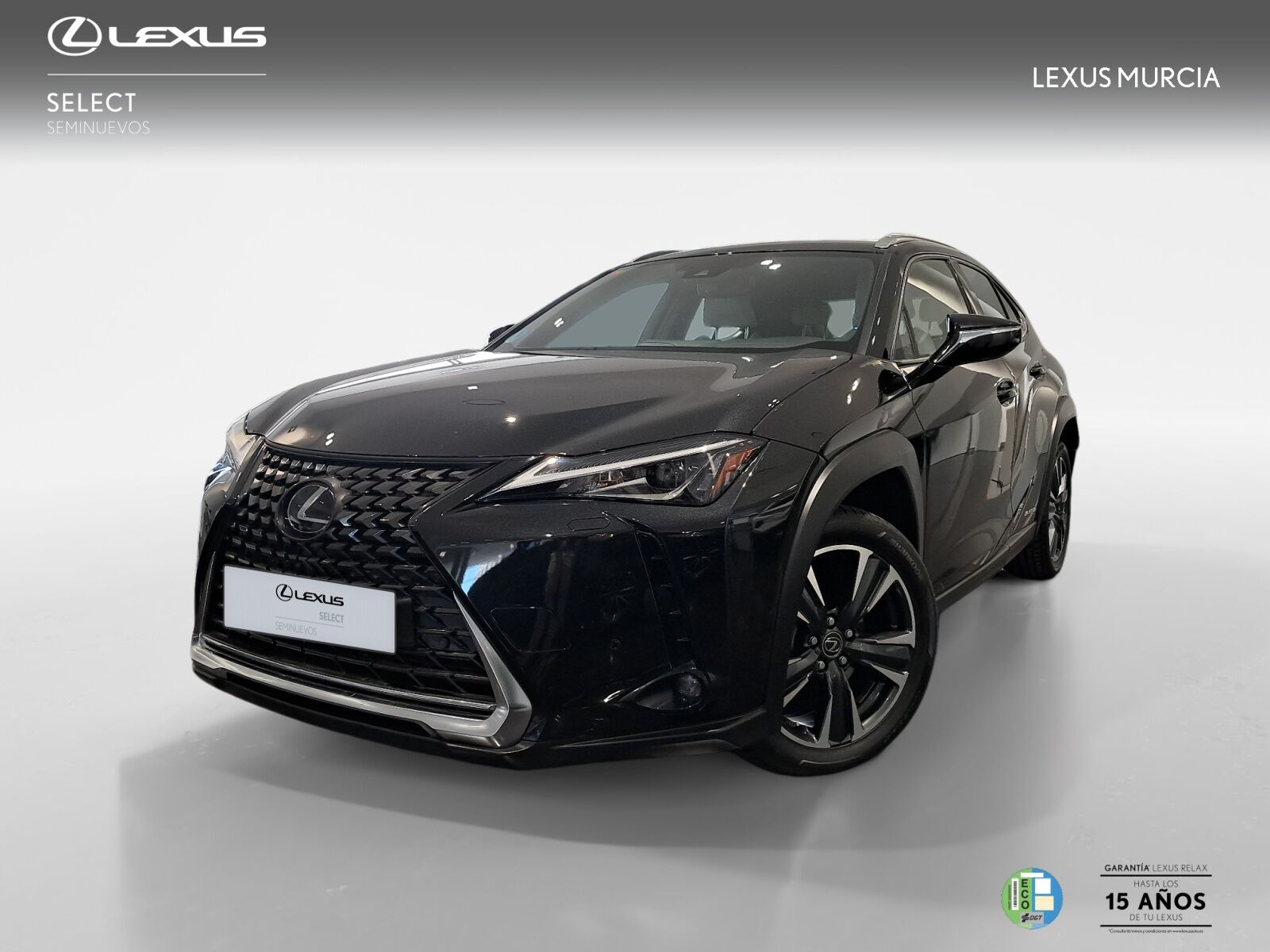 LEXUS UX (UX 250h 2WD) en Murcia