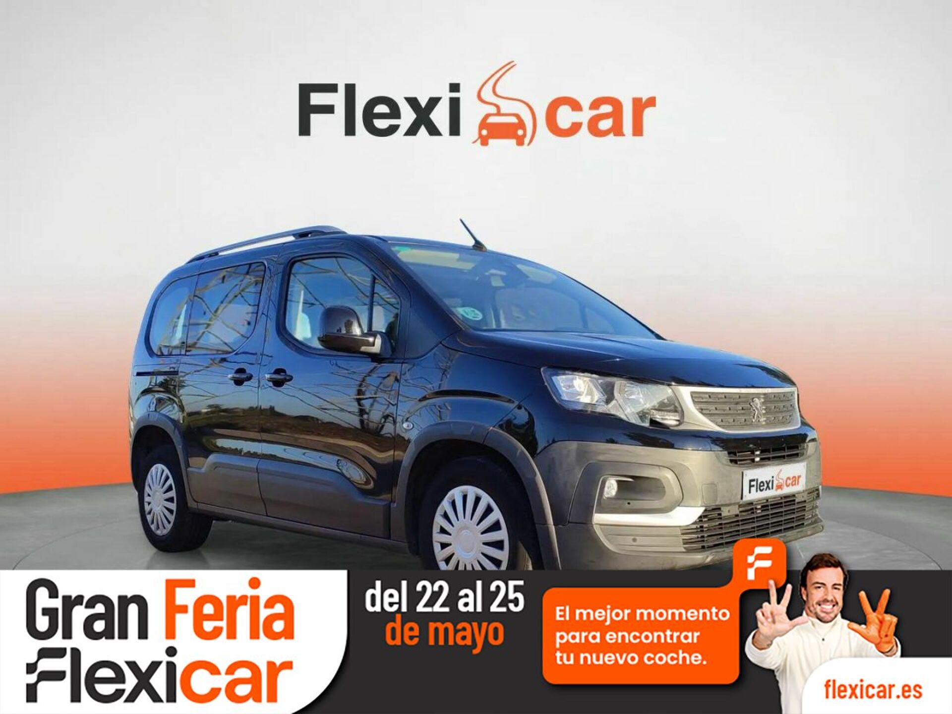 Imagen de PEUGEOT Rifter